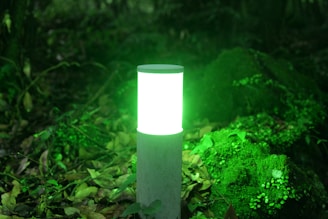 A glowing cylindrical green light source is positioned outdoors on a base amidst foliage and greenery. The surrounding environment consists of leaves and moss-covered ground, creating a natural and serene setting.