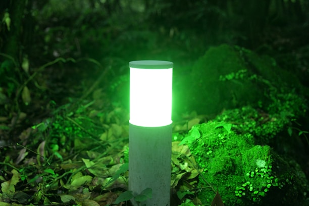 A glowing cylindrical green light source is positioned outdoors on a base amidst foliage and greenery. The surrounding environment consists of leaves and moss-covered ground, creating a natural and serene setting.