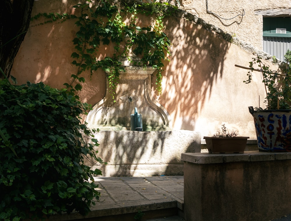 pianta verde su vaso di argilla marrone