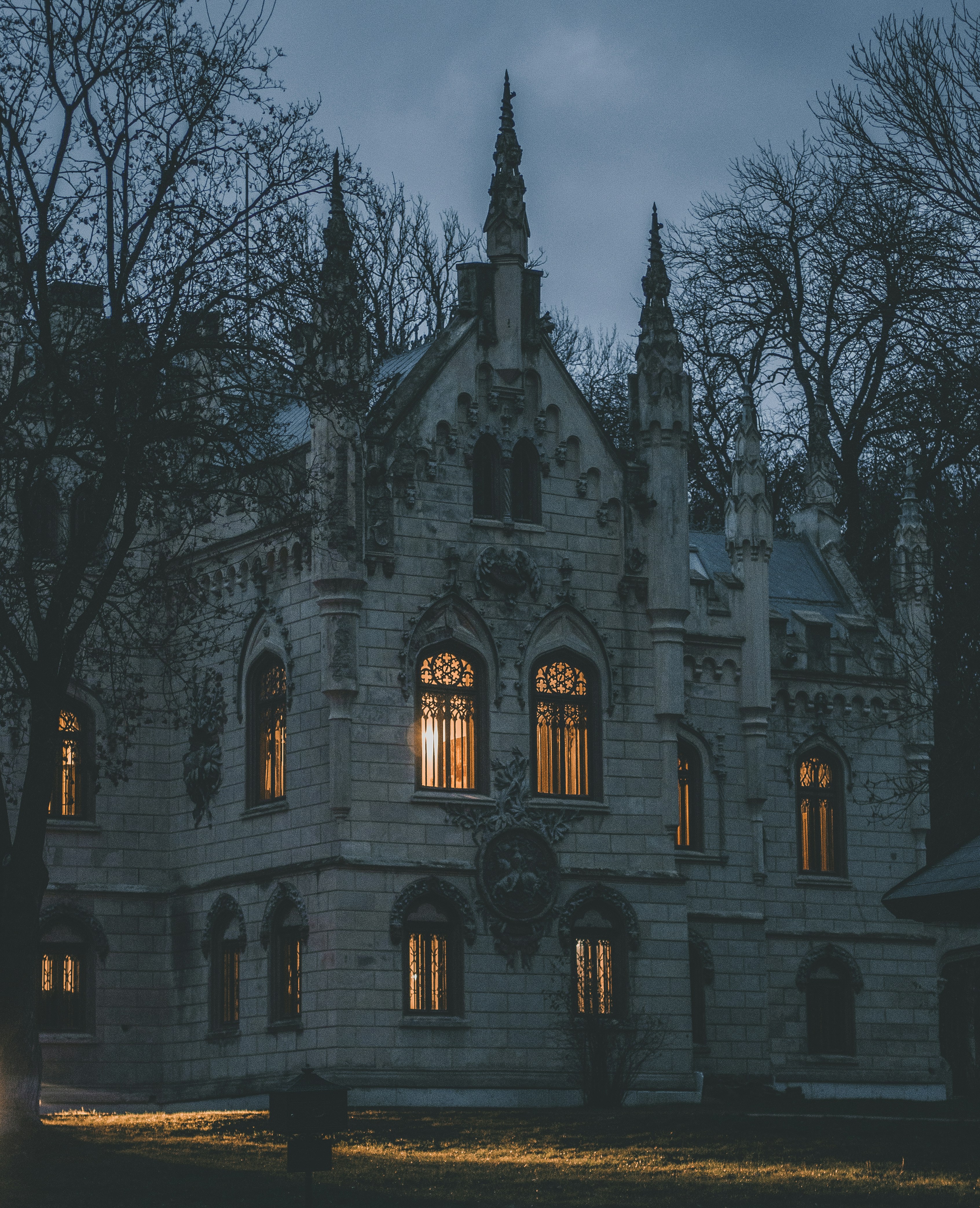 gray concrete building near bare trees during daytime