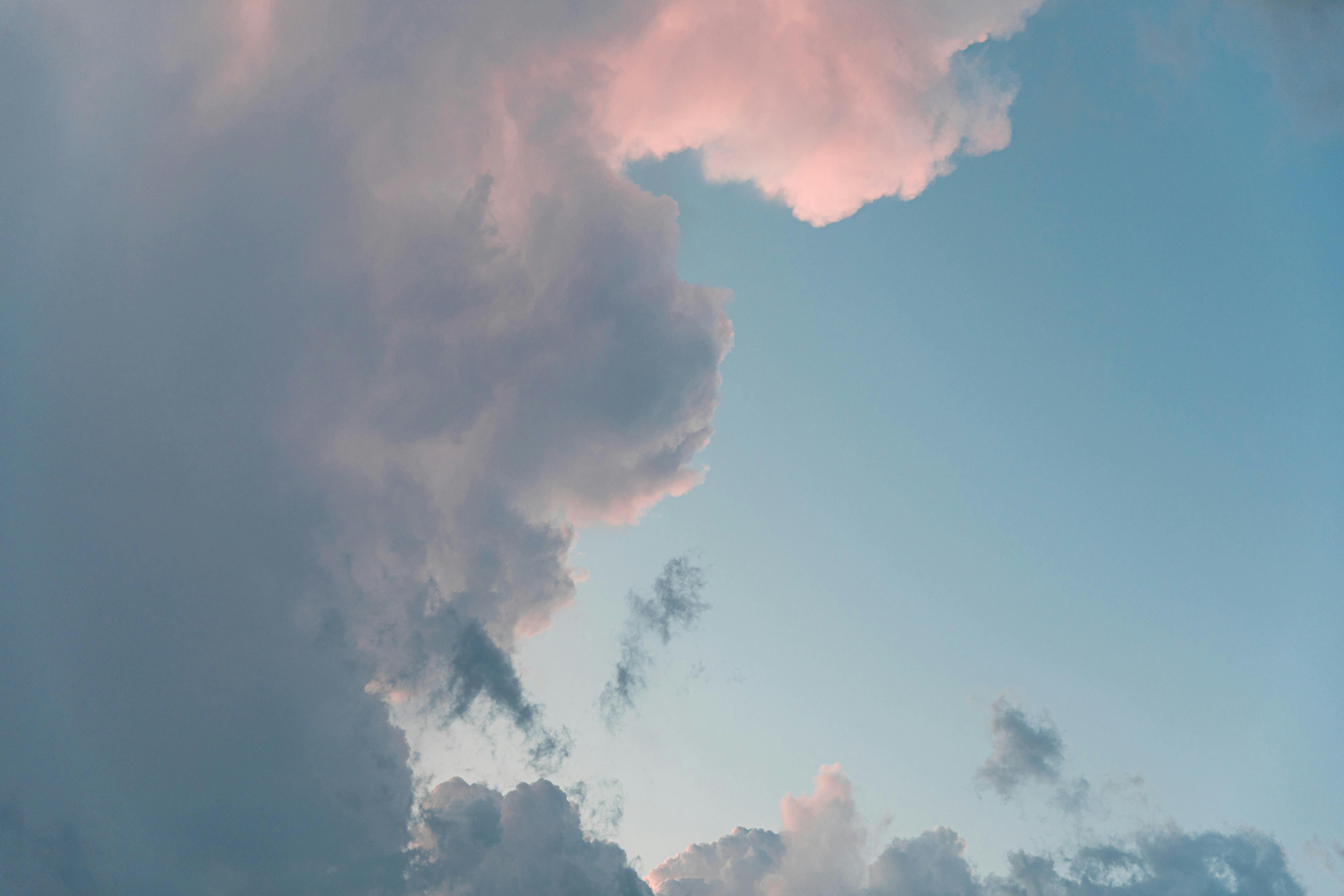 Photo by kukaka