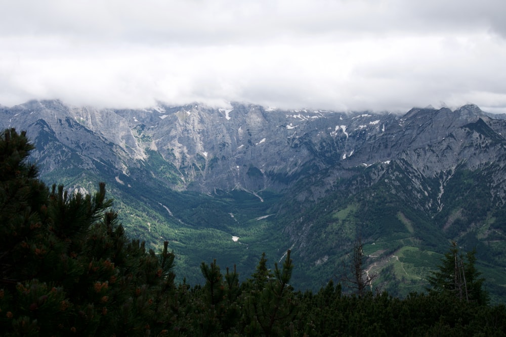 green trees on mountain under white clouds during daytime