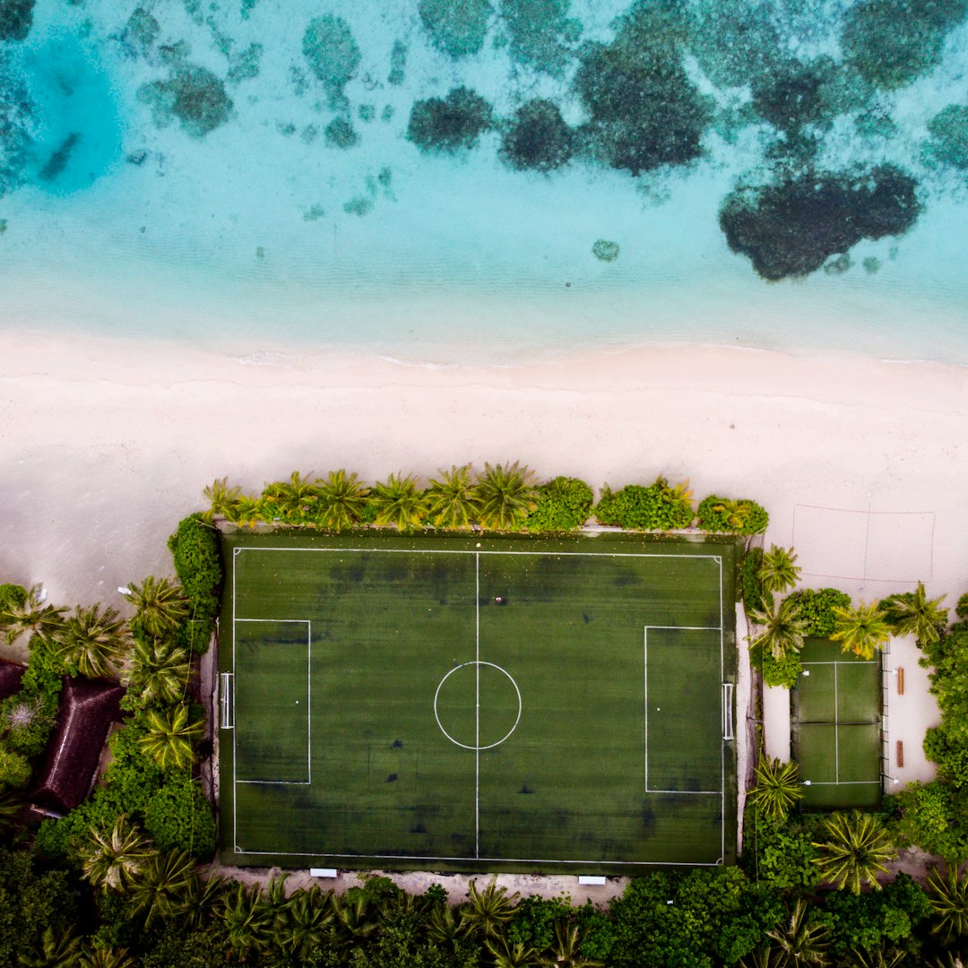 aerial view of green field