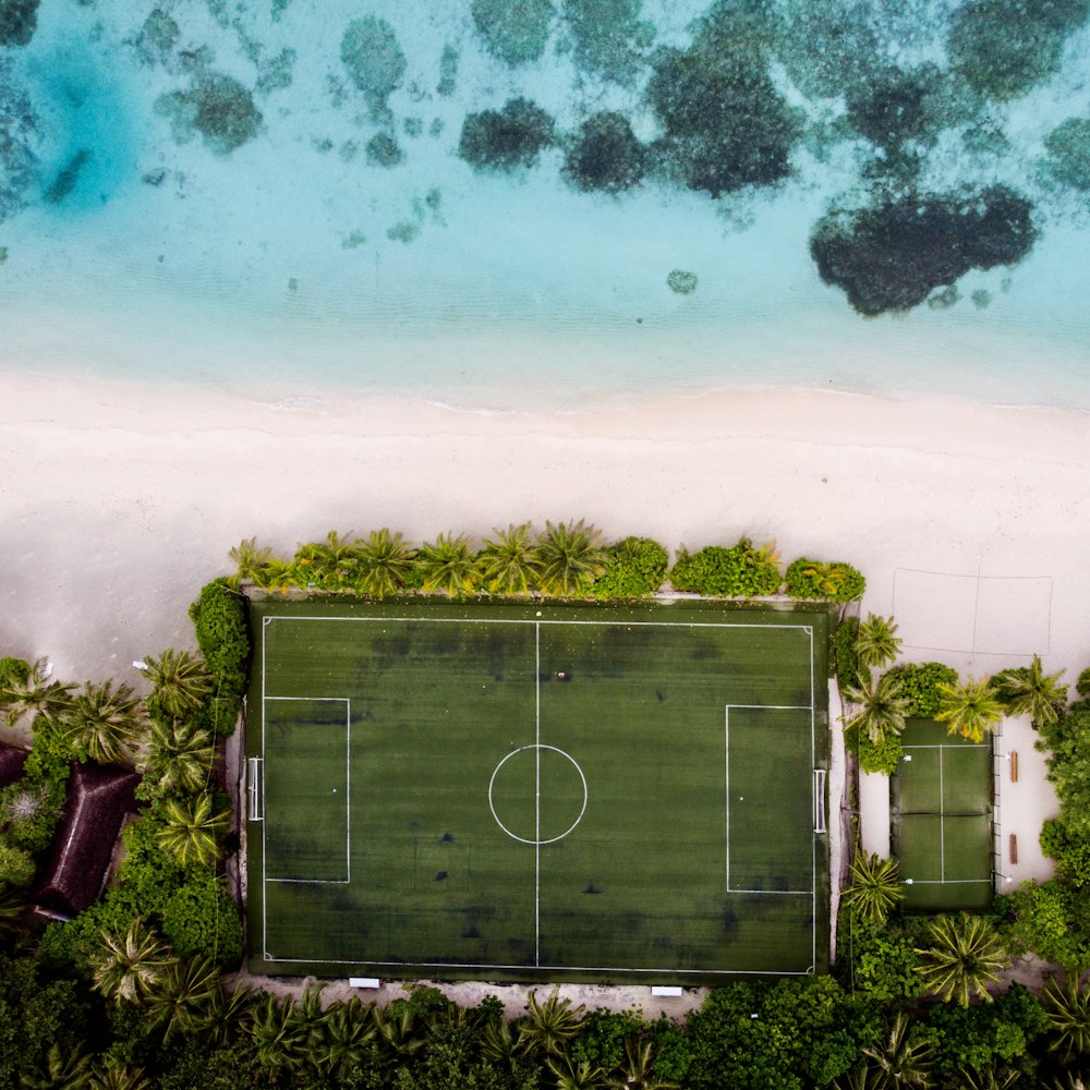 aerial view of green field