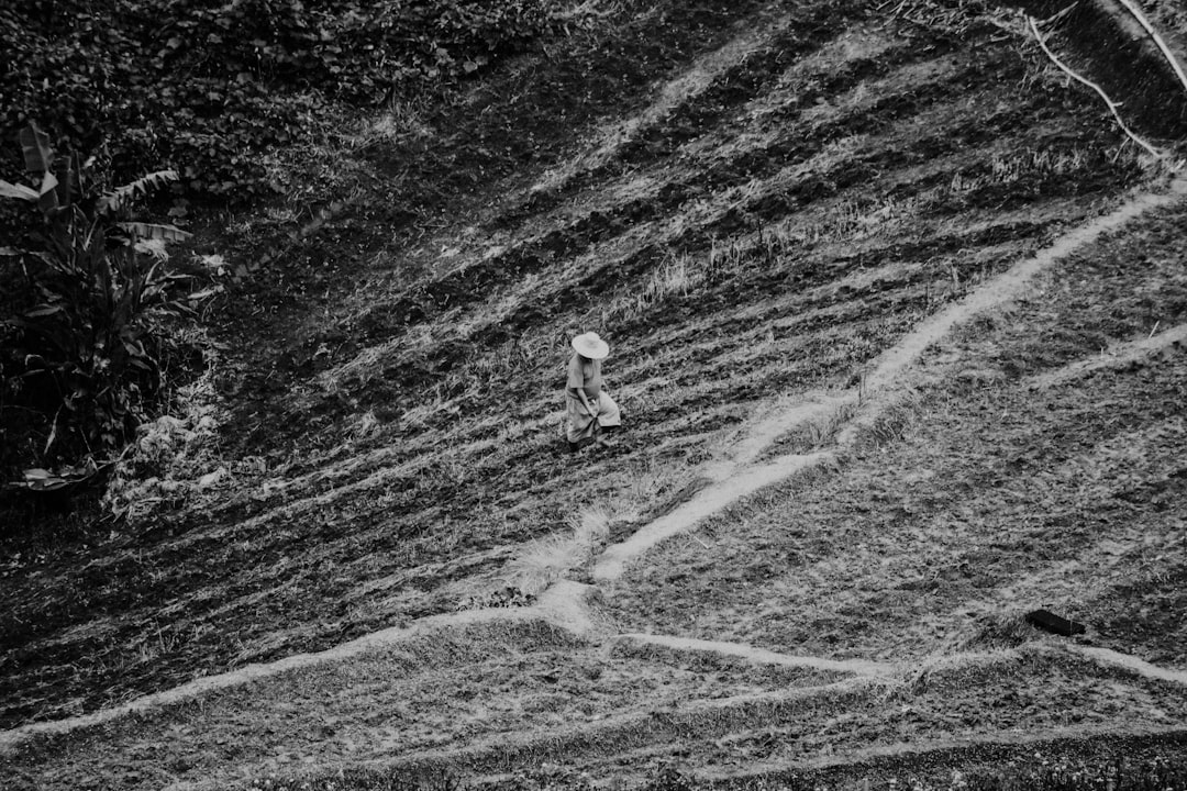 grayscale photo of 2 person walking on snow covered ground