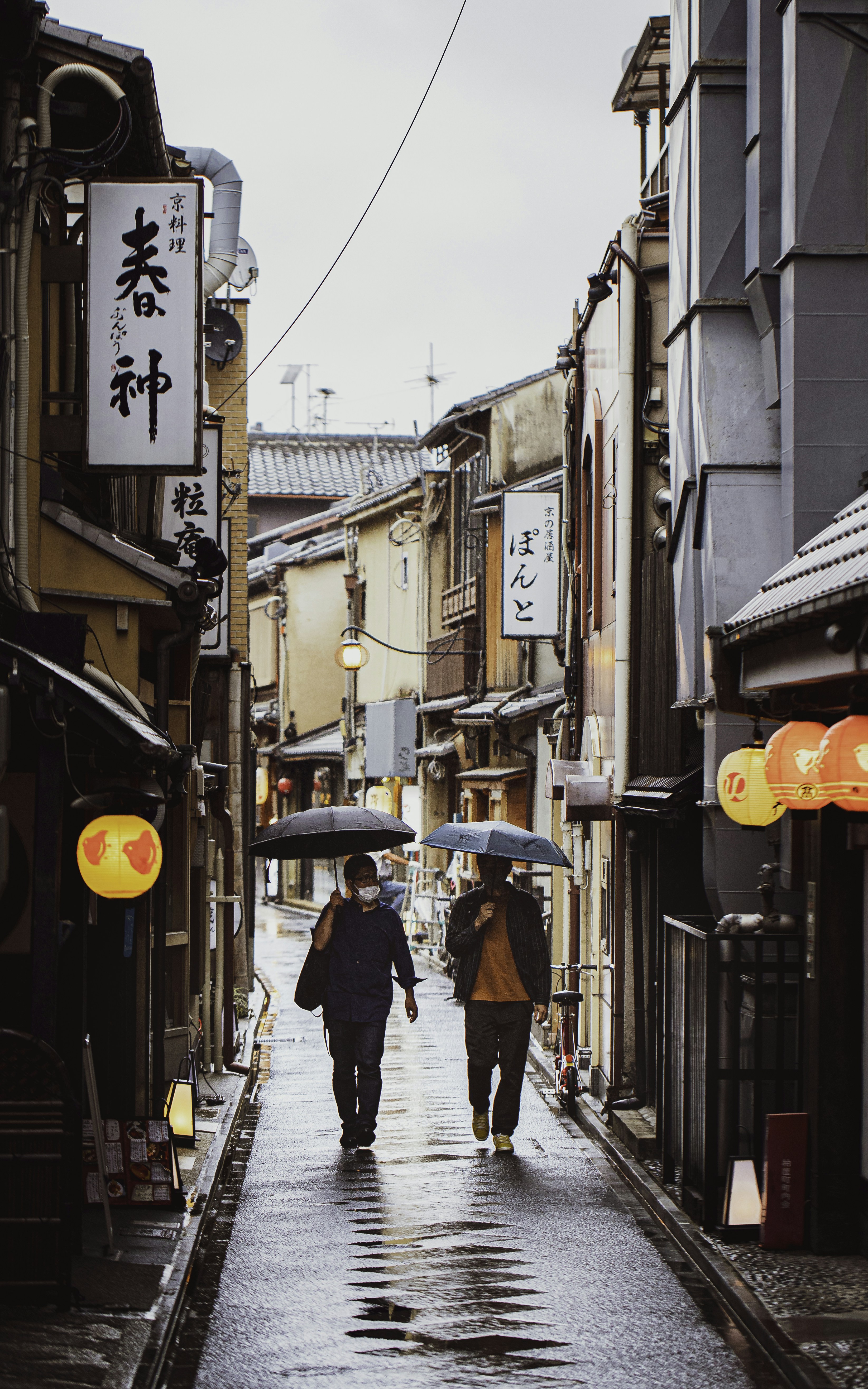 Photo by duongtrungthinh