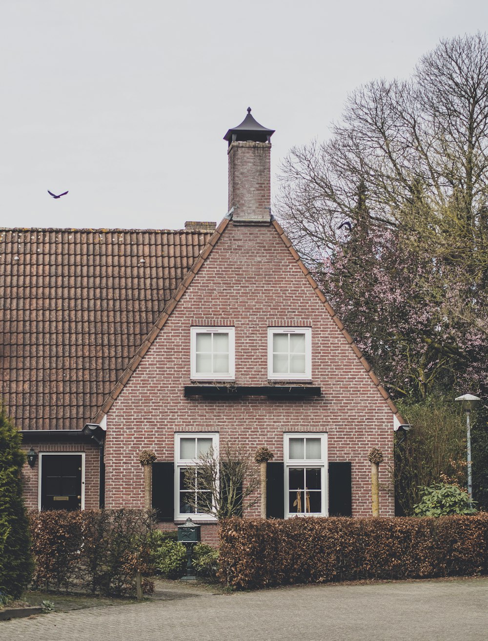 brown and white concrete house near green trees during daytime