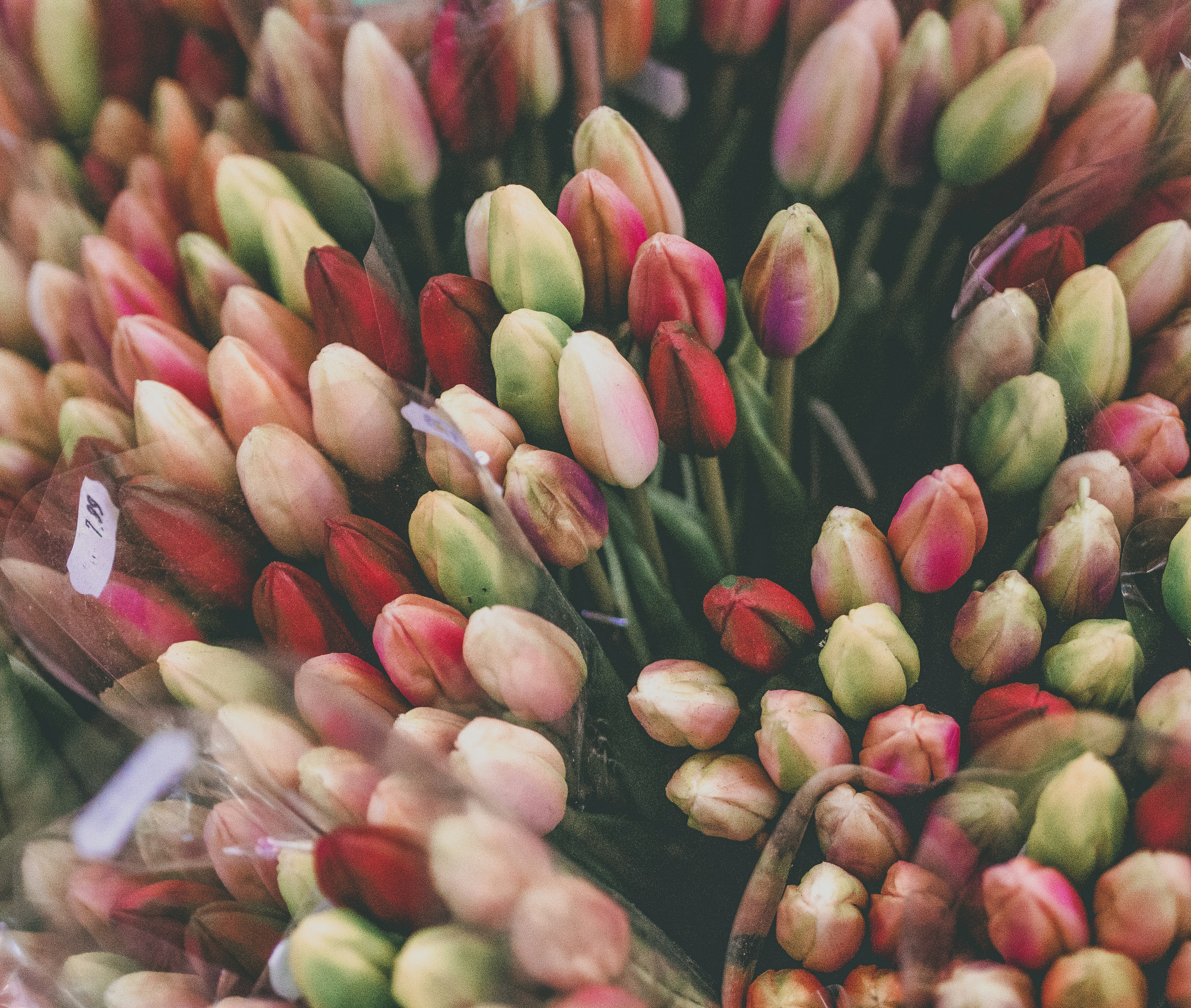 Soft pink tulips in a fresh spring garden-style bouquet