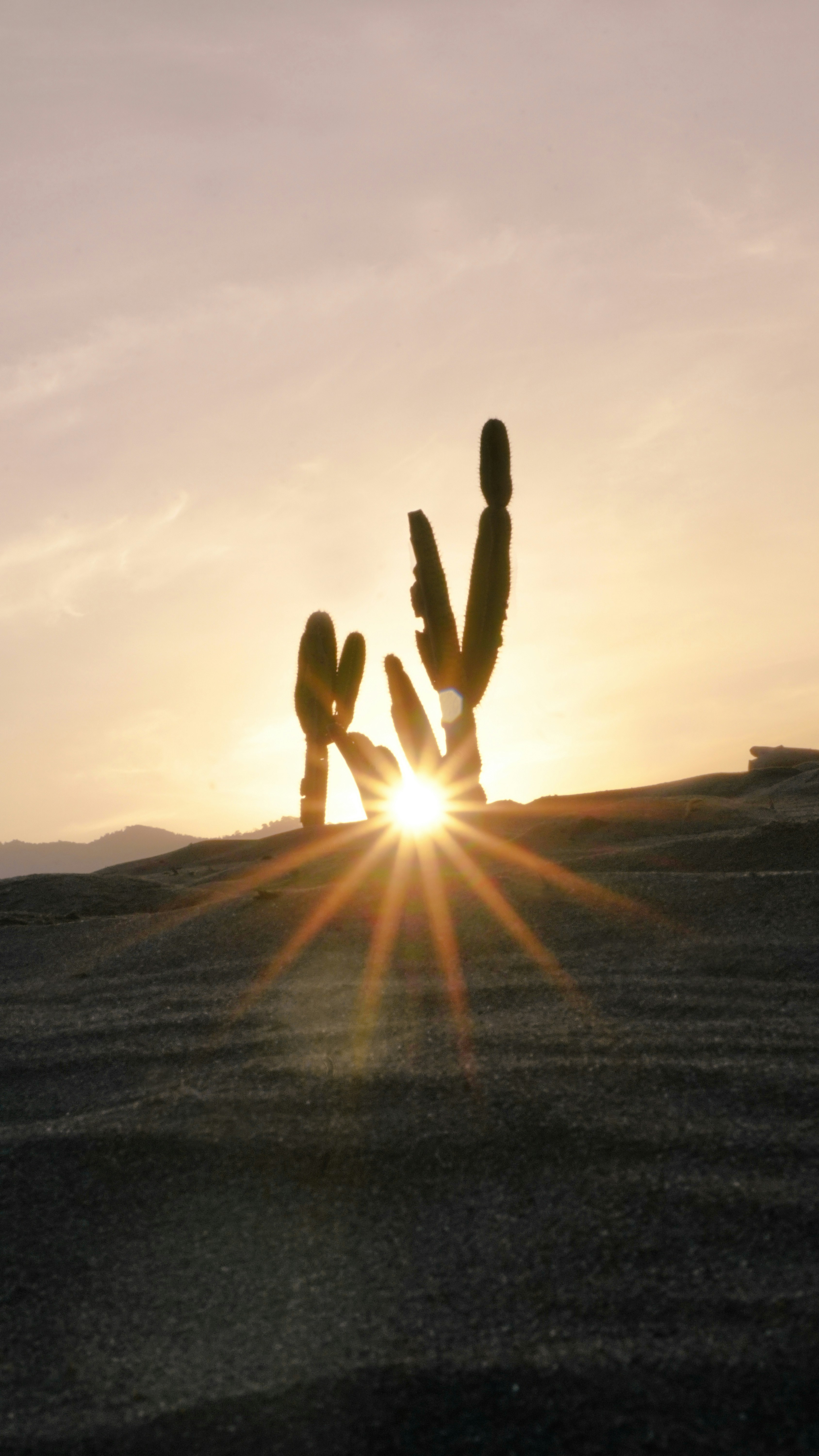 Background image for slide 1