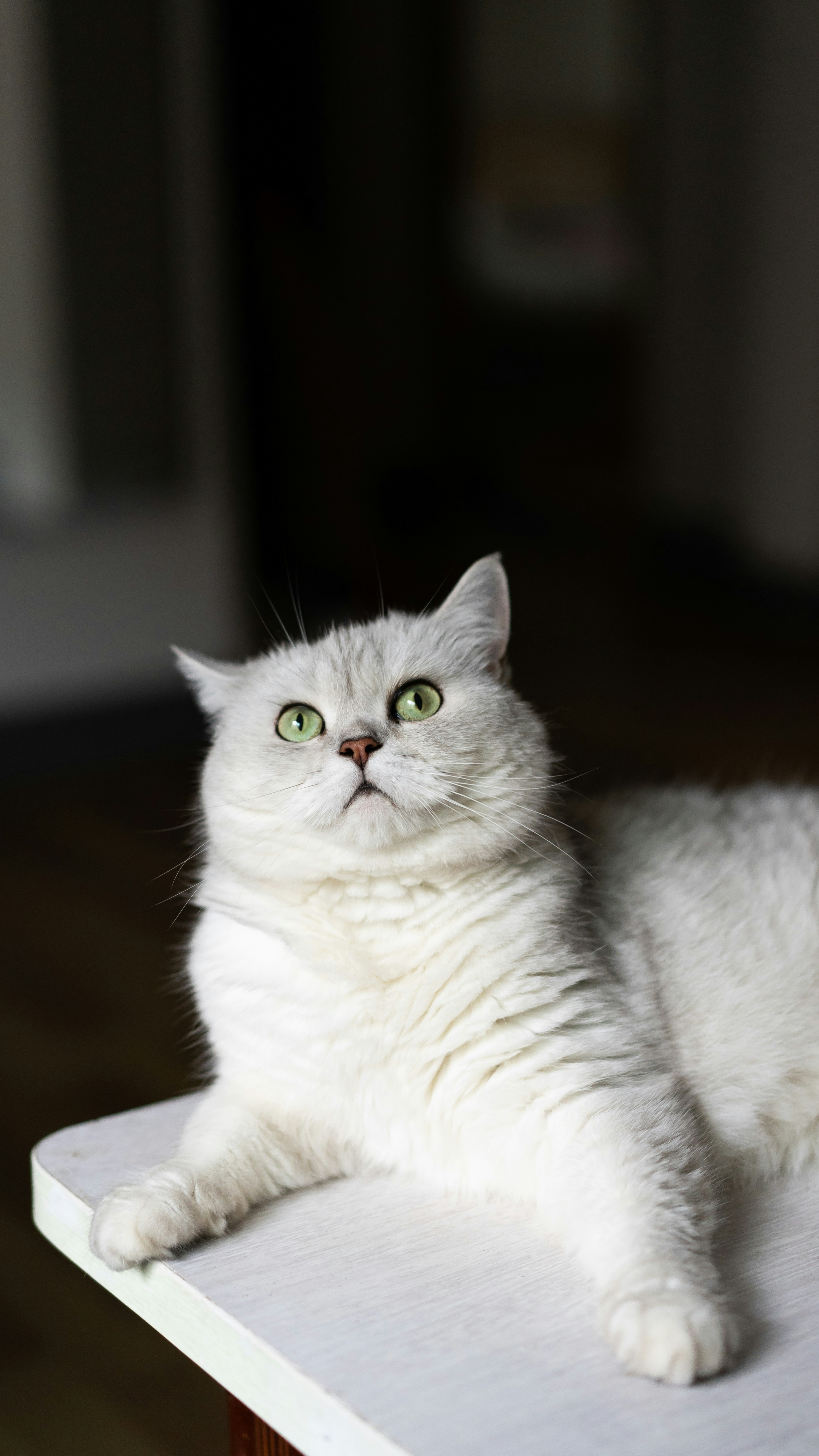 Photo by yooho962464