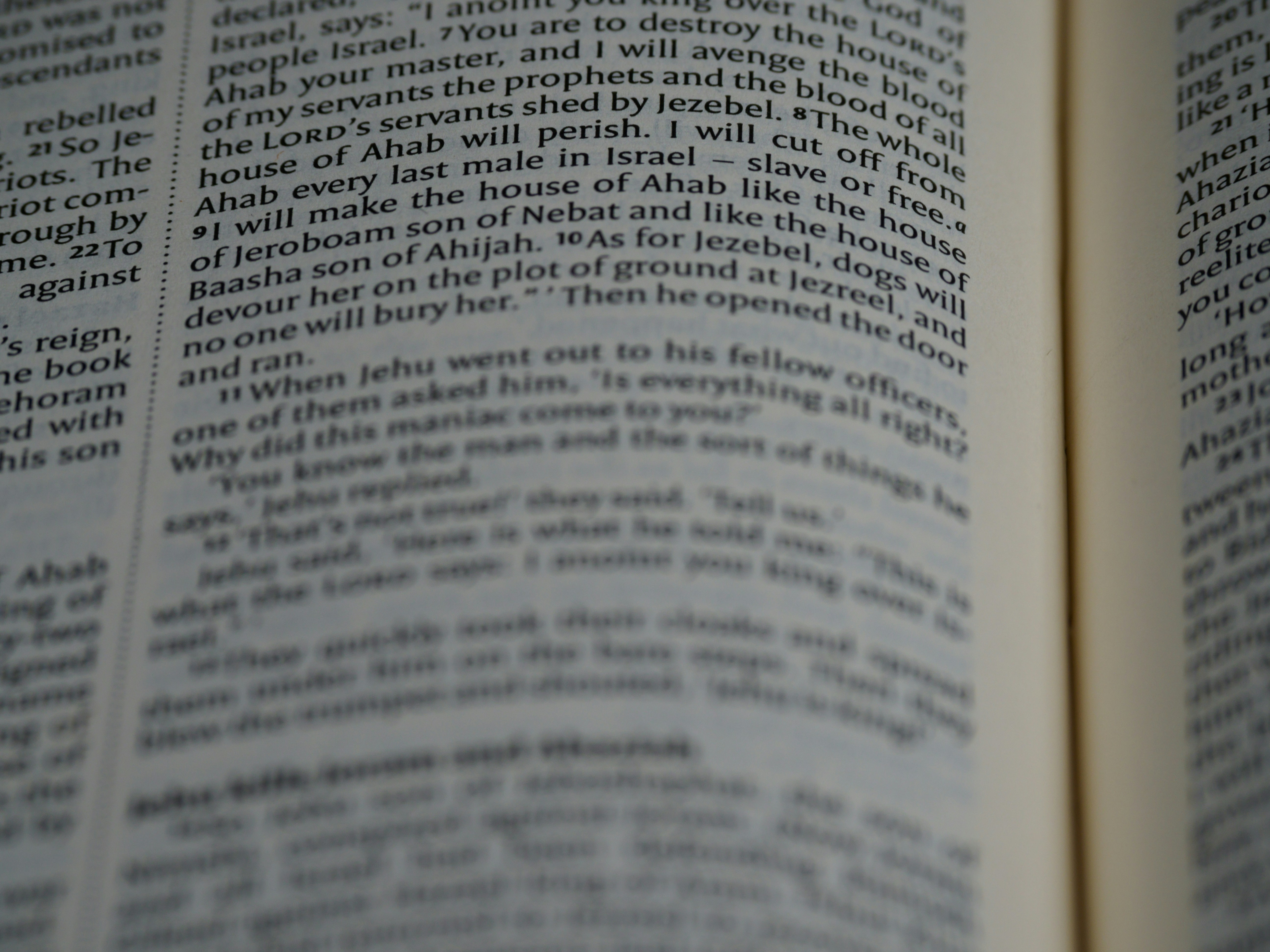 Photo by brett_jordan