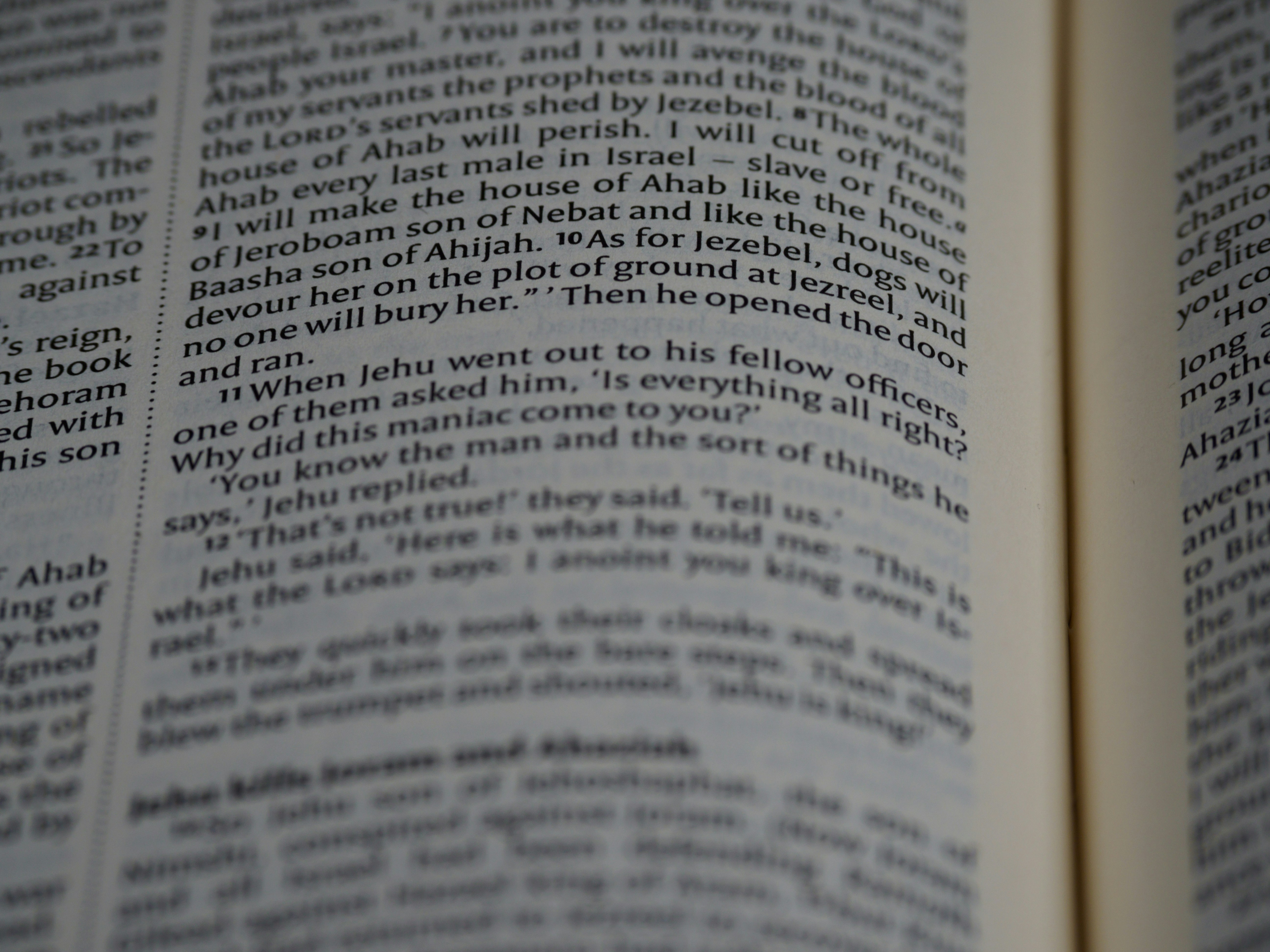 Photo by brett_jordan