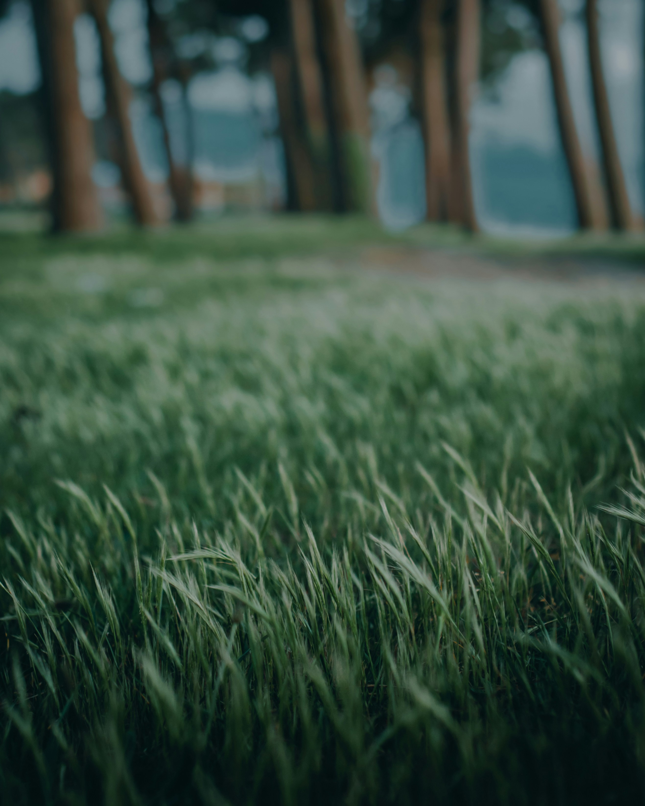 Photo by bullettrainnnnn