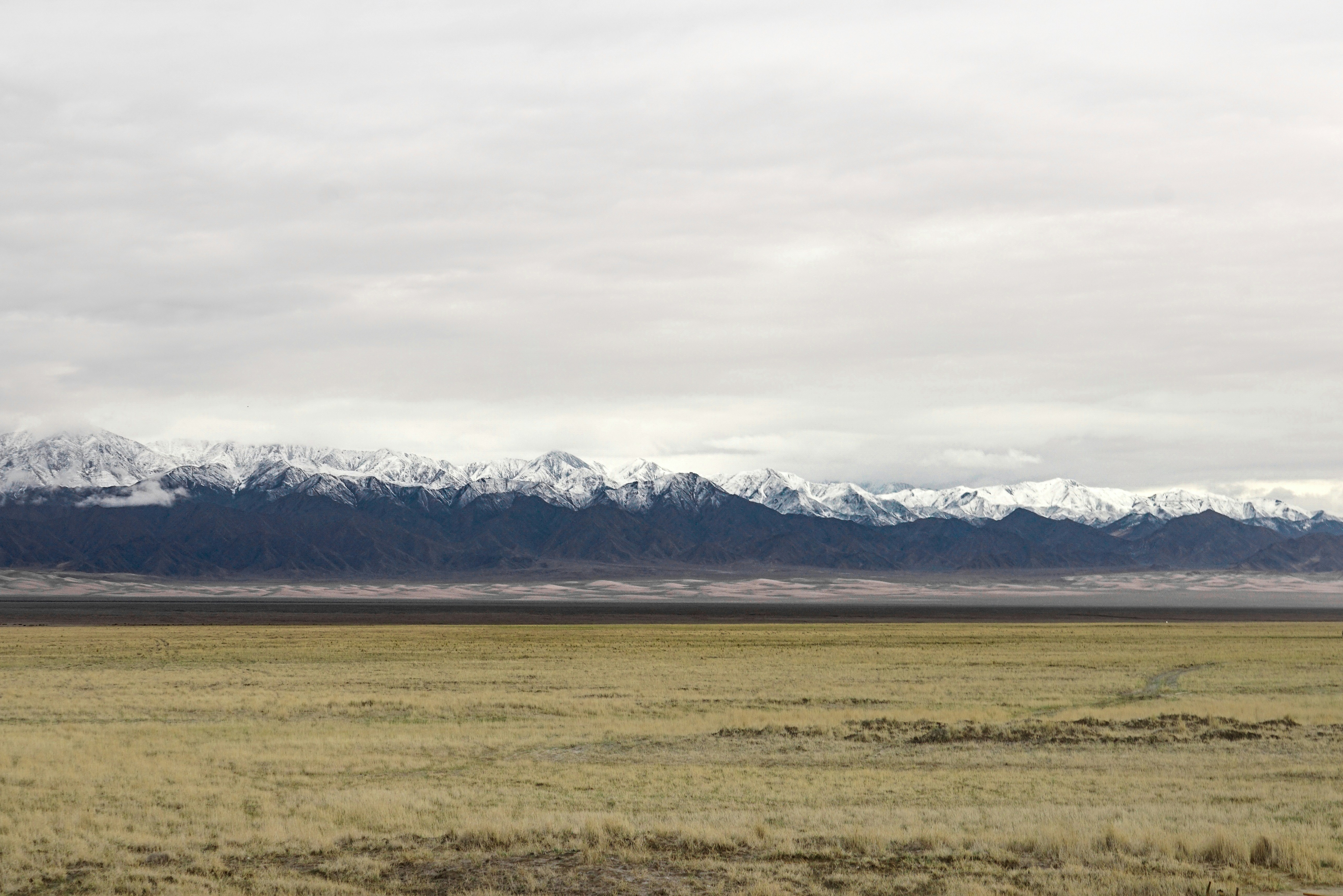 Photo by juniperphoton