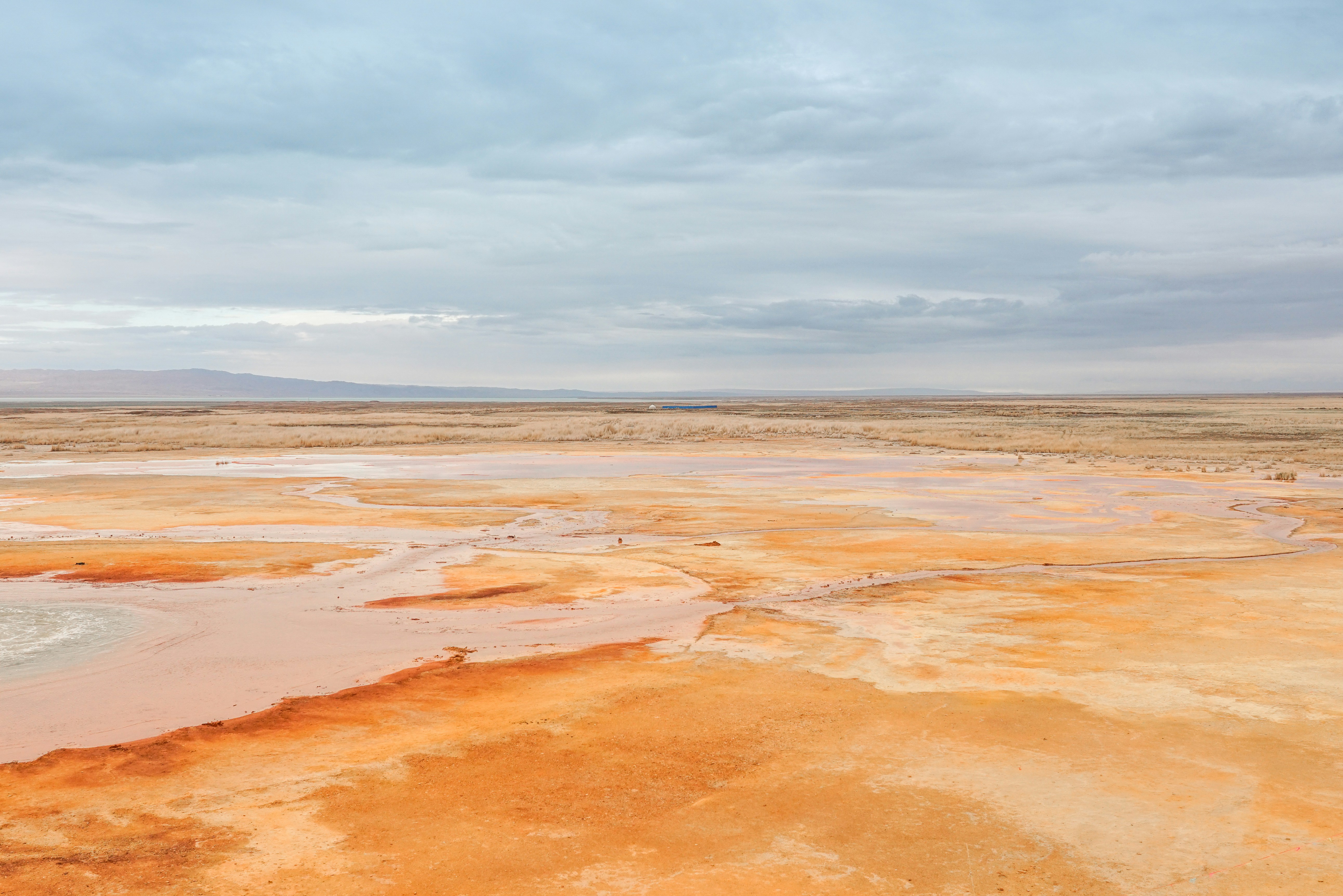 Photo by juniperphoton