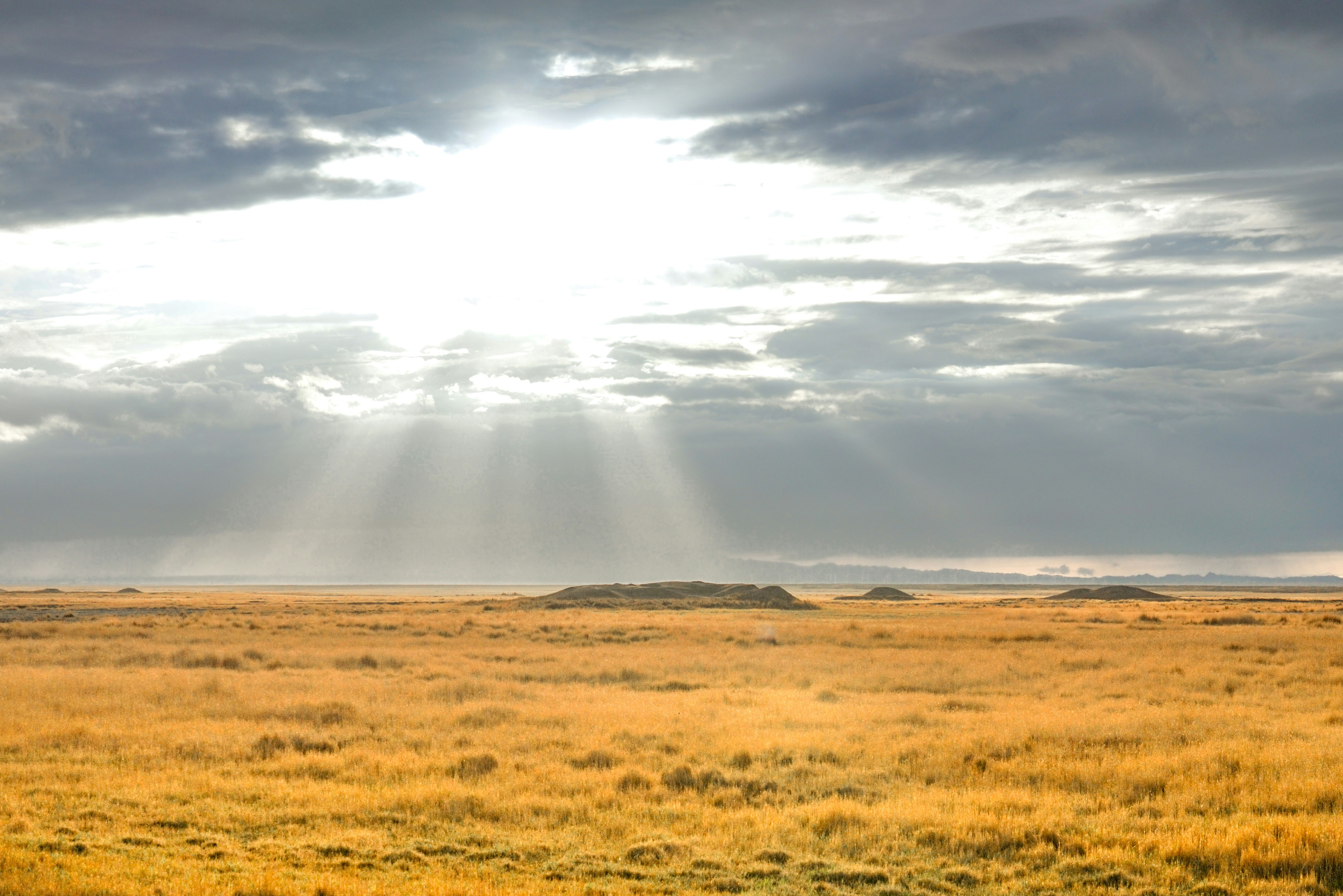 Photo by juniperphoton