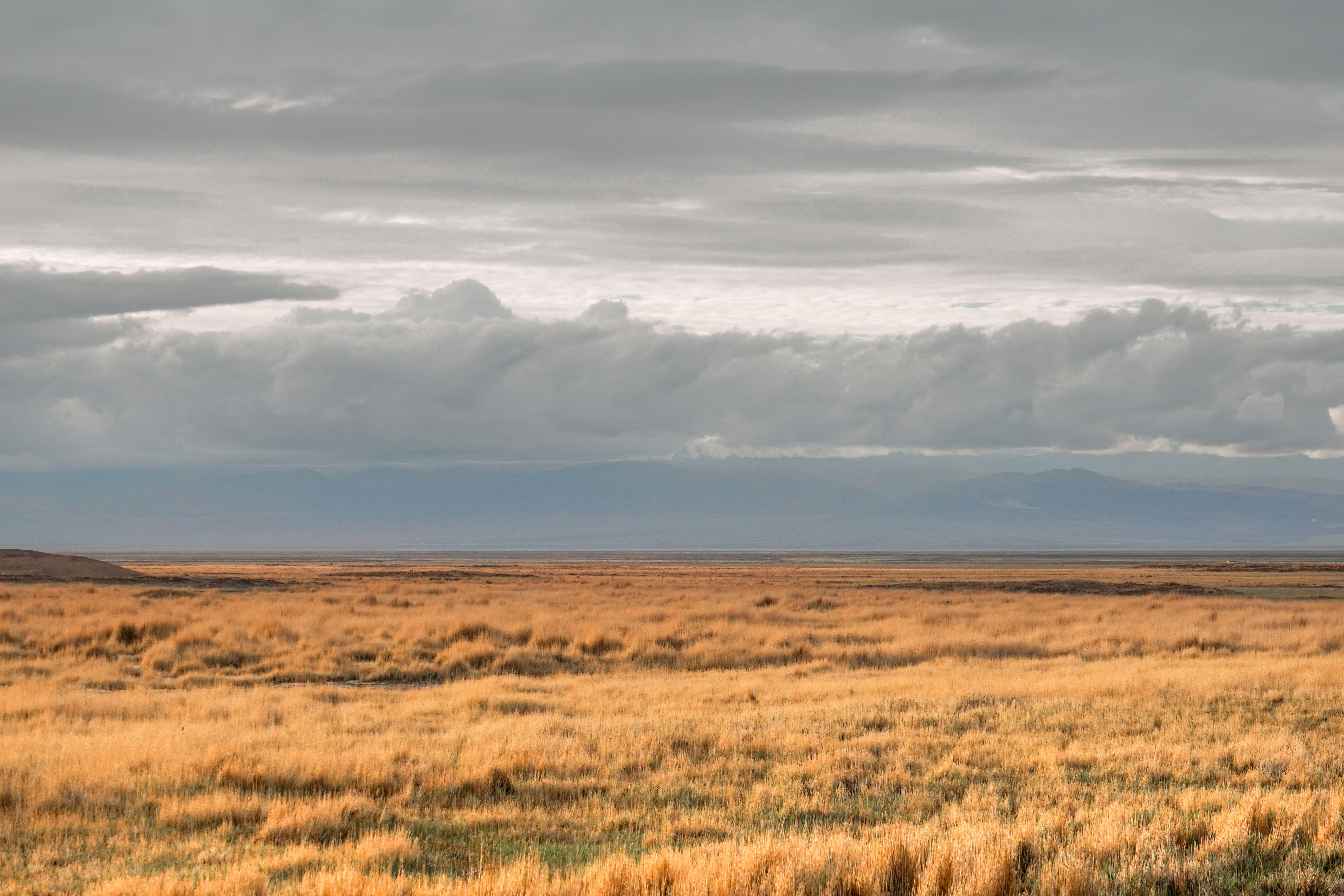 Photo by juniperphoton