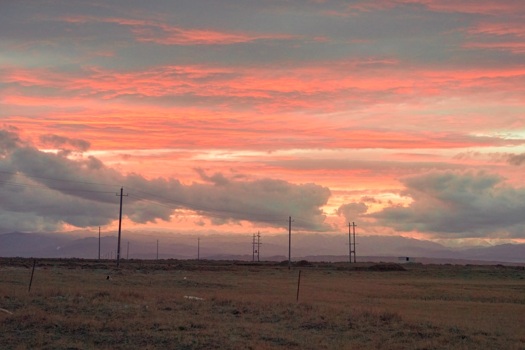 wind turbines on brown field during sunset