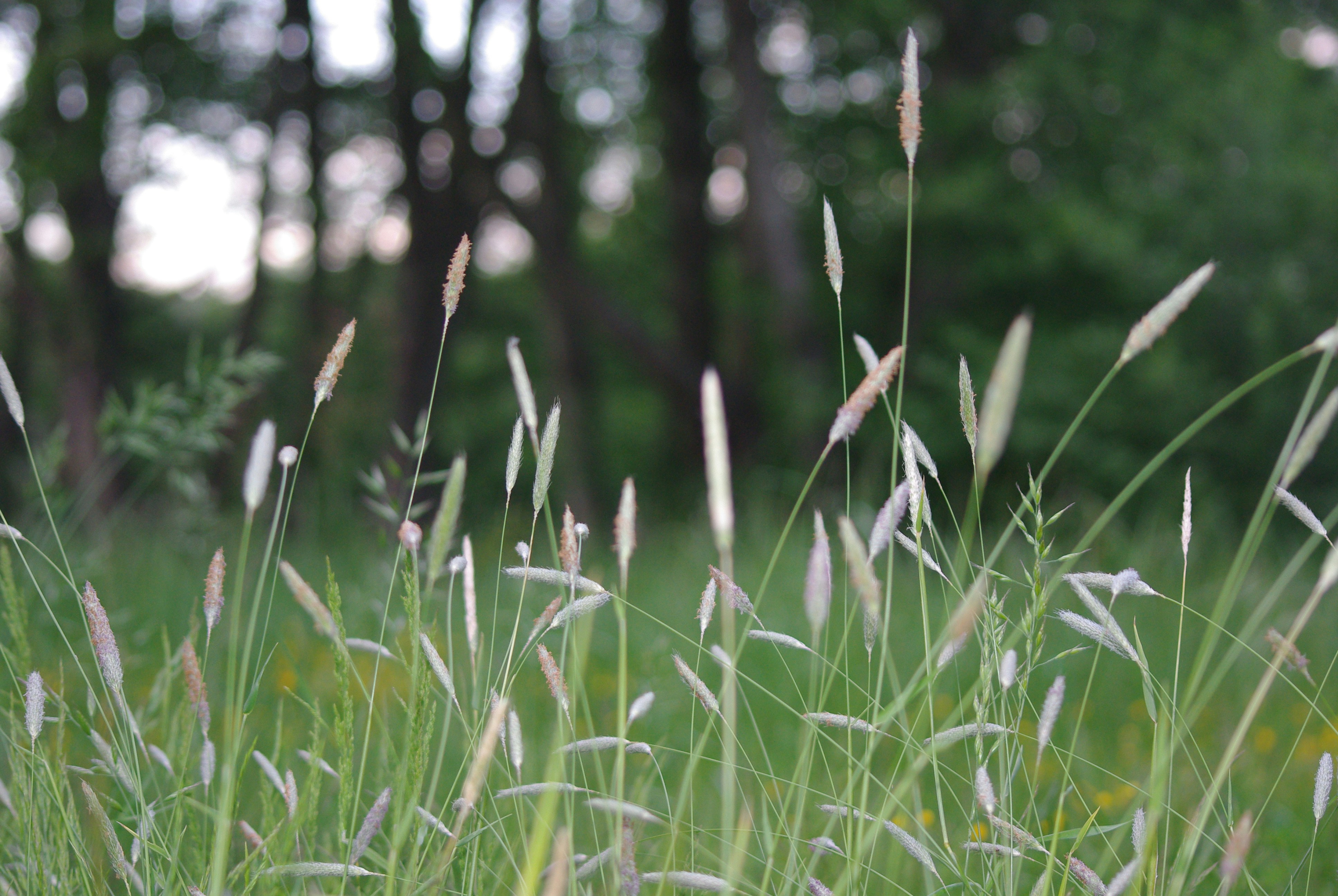 Photo by lamaisondemarlea