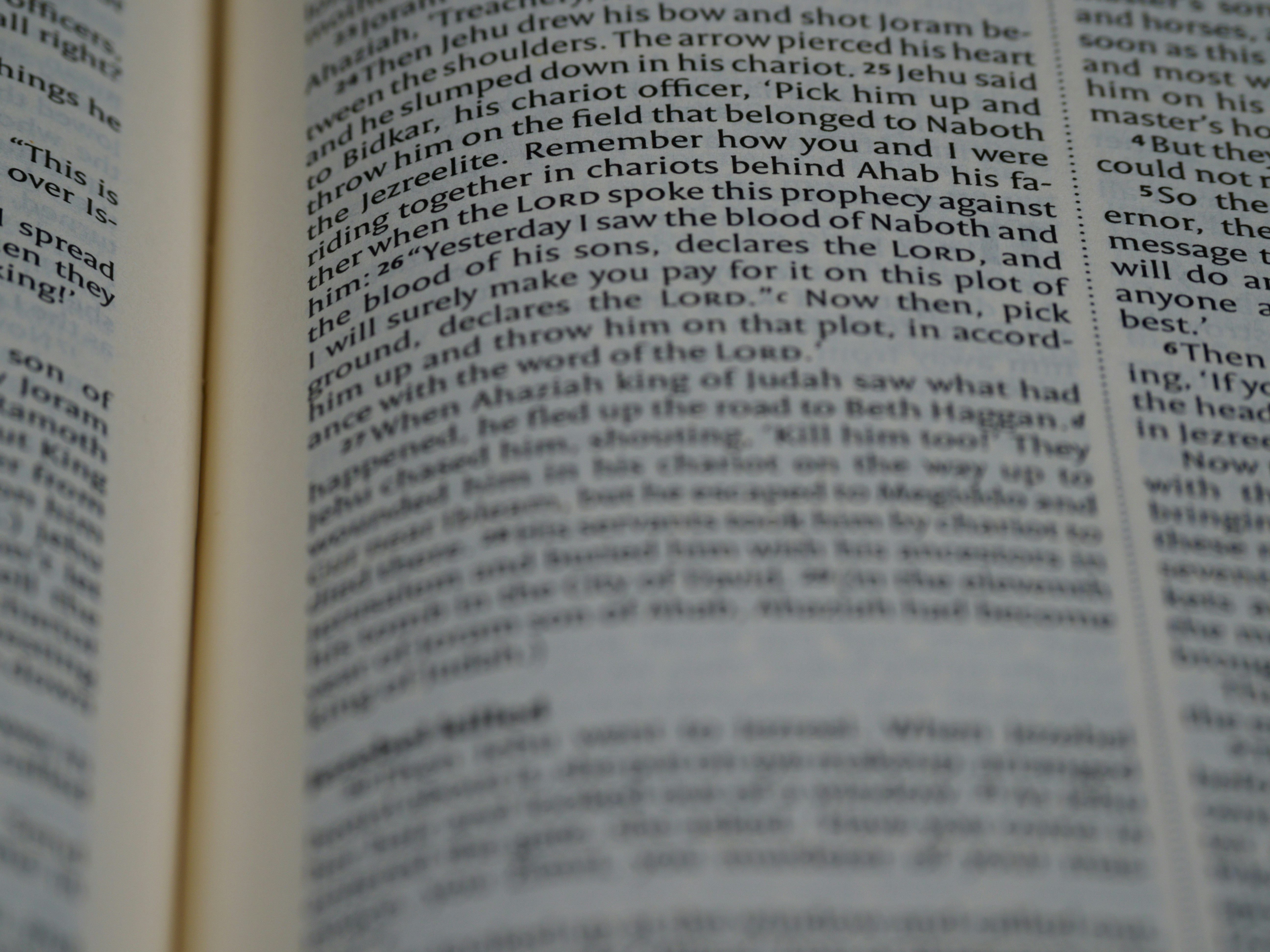 Photo by brett_jordan