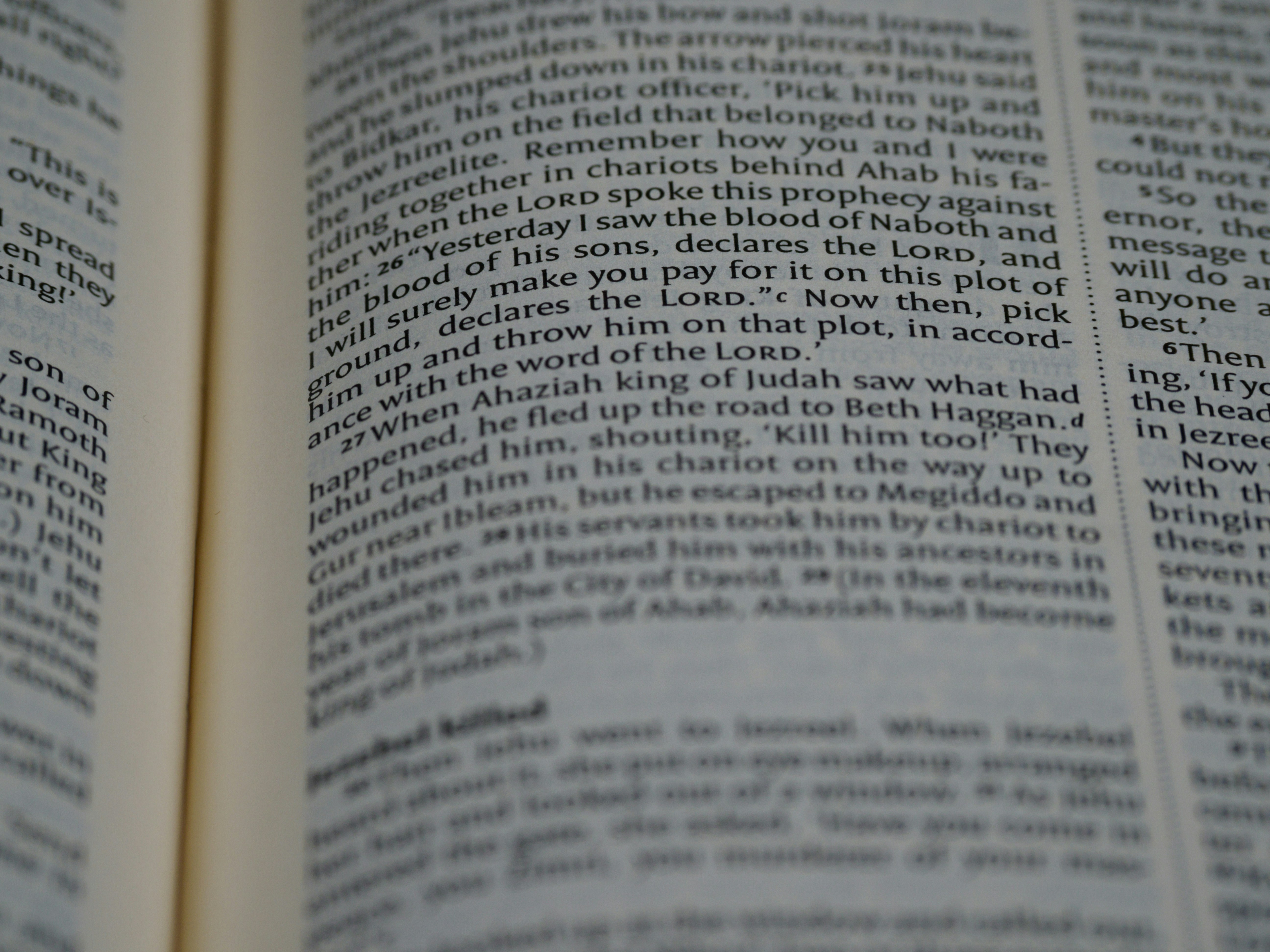 Photo by brett_jordan