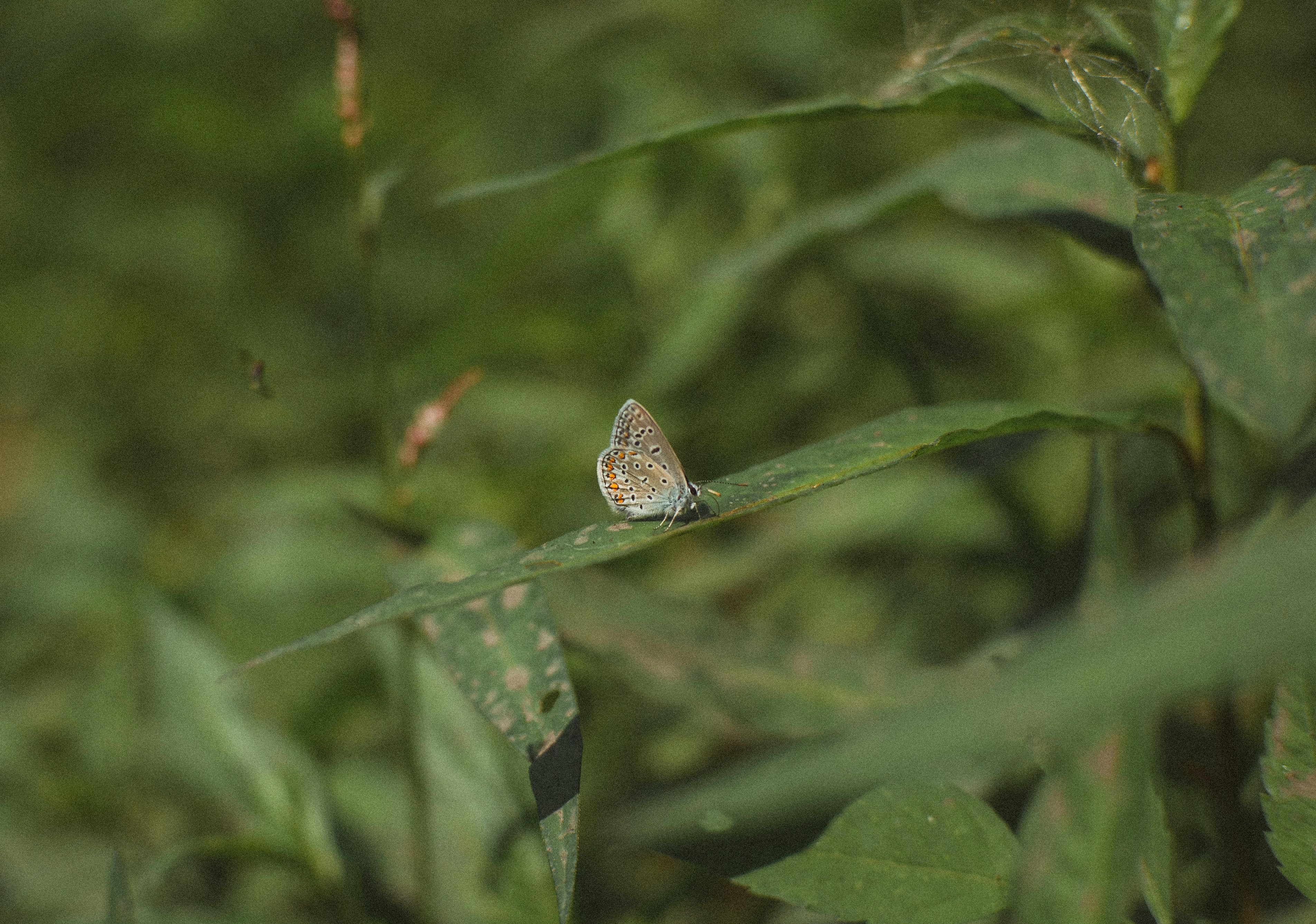 Photo by onepilot