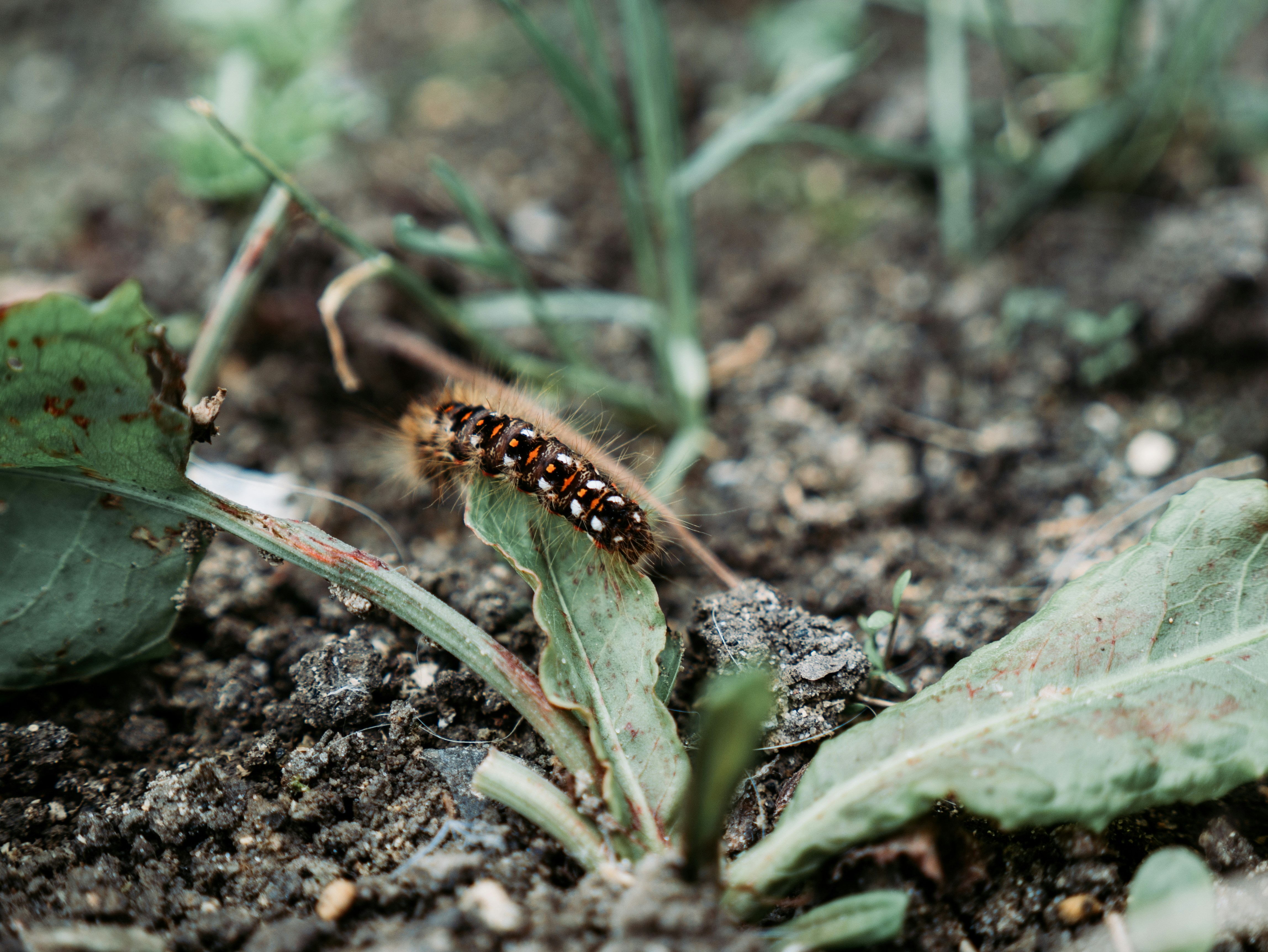 Photo by mattseymour