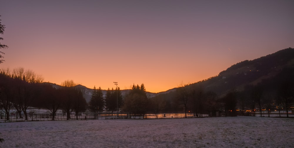 silhouette of trees and mountains during sunset