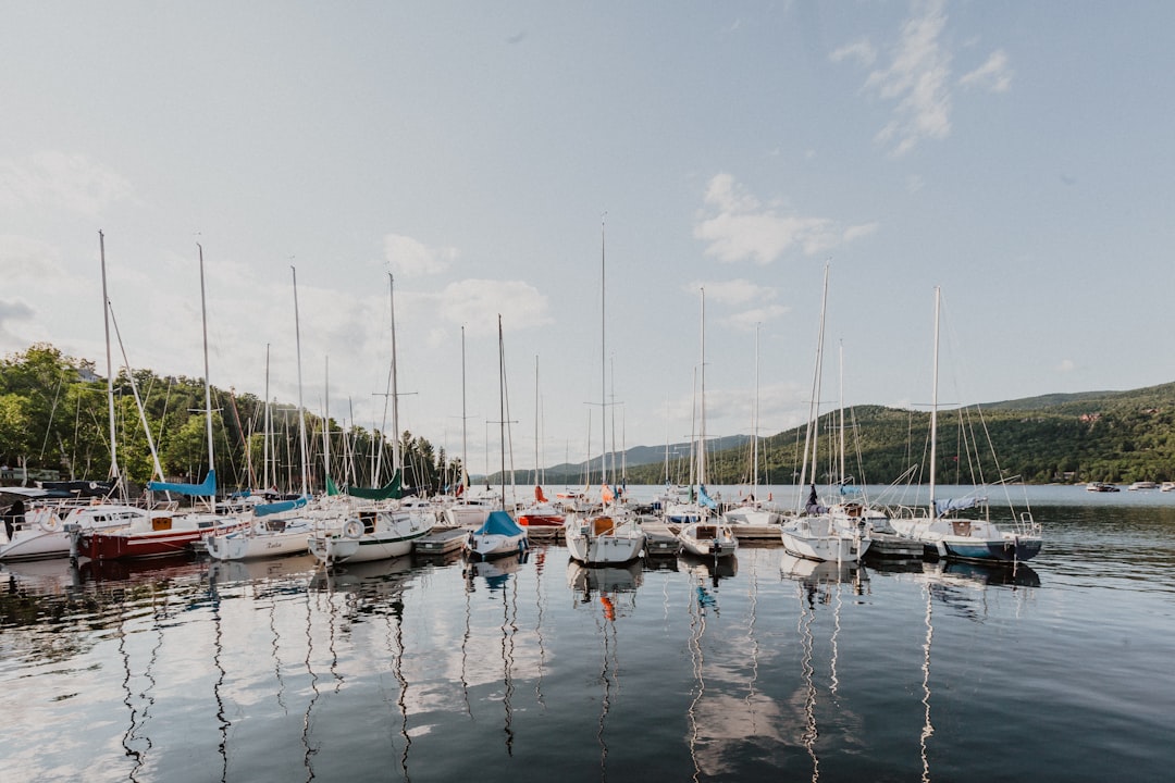 white and blue boats on dock during daytime