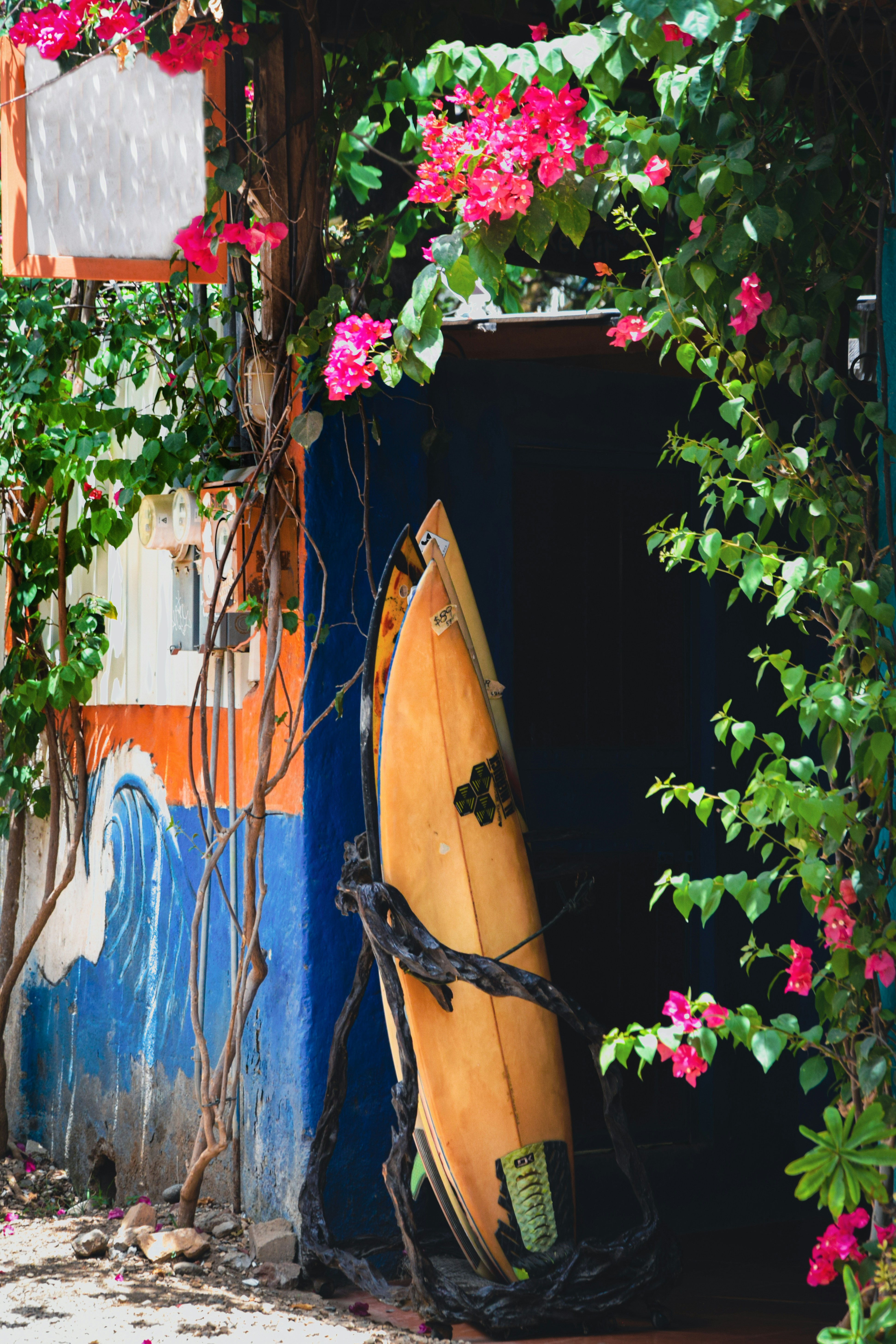 Photo by framesforyourheart