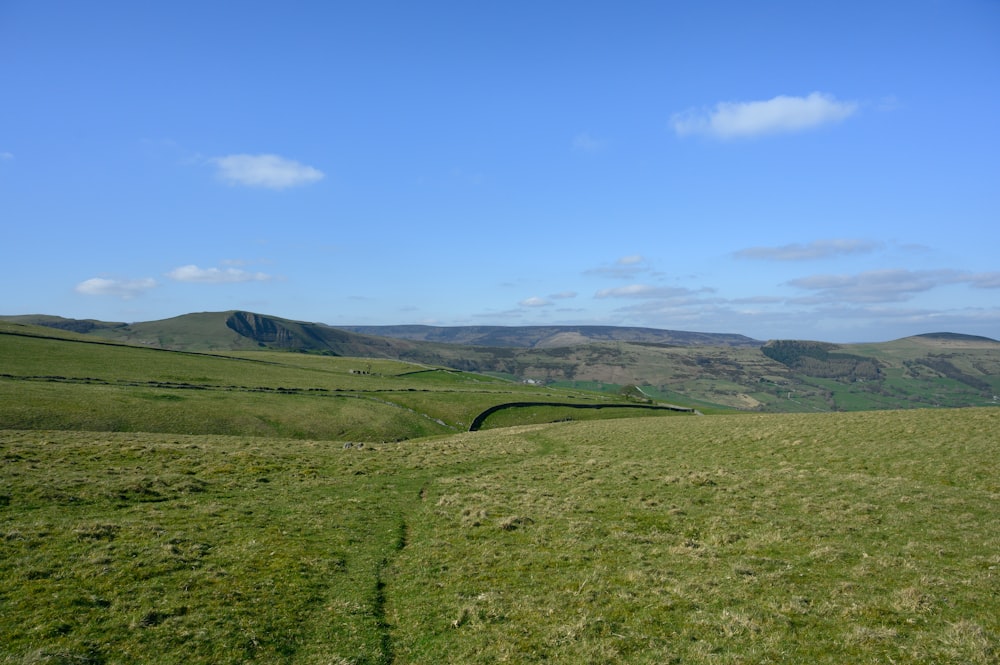 green grass field under blue sky during daytime