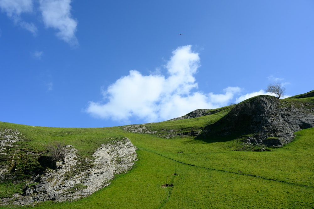 green grass field under blue sky during daytime