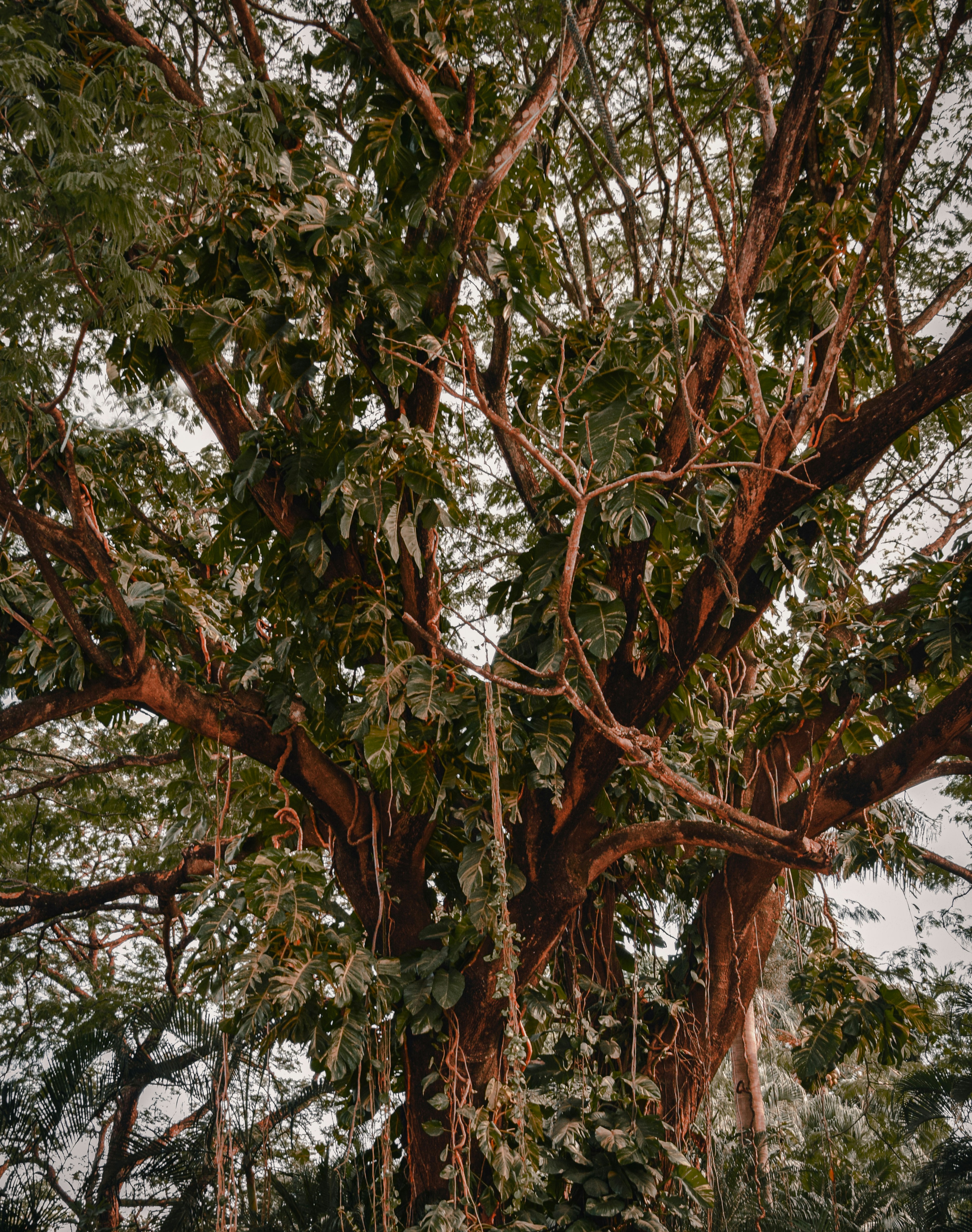 Photo by framesforyourheart