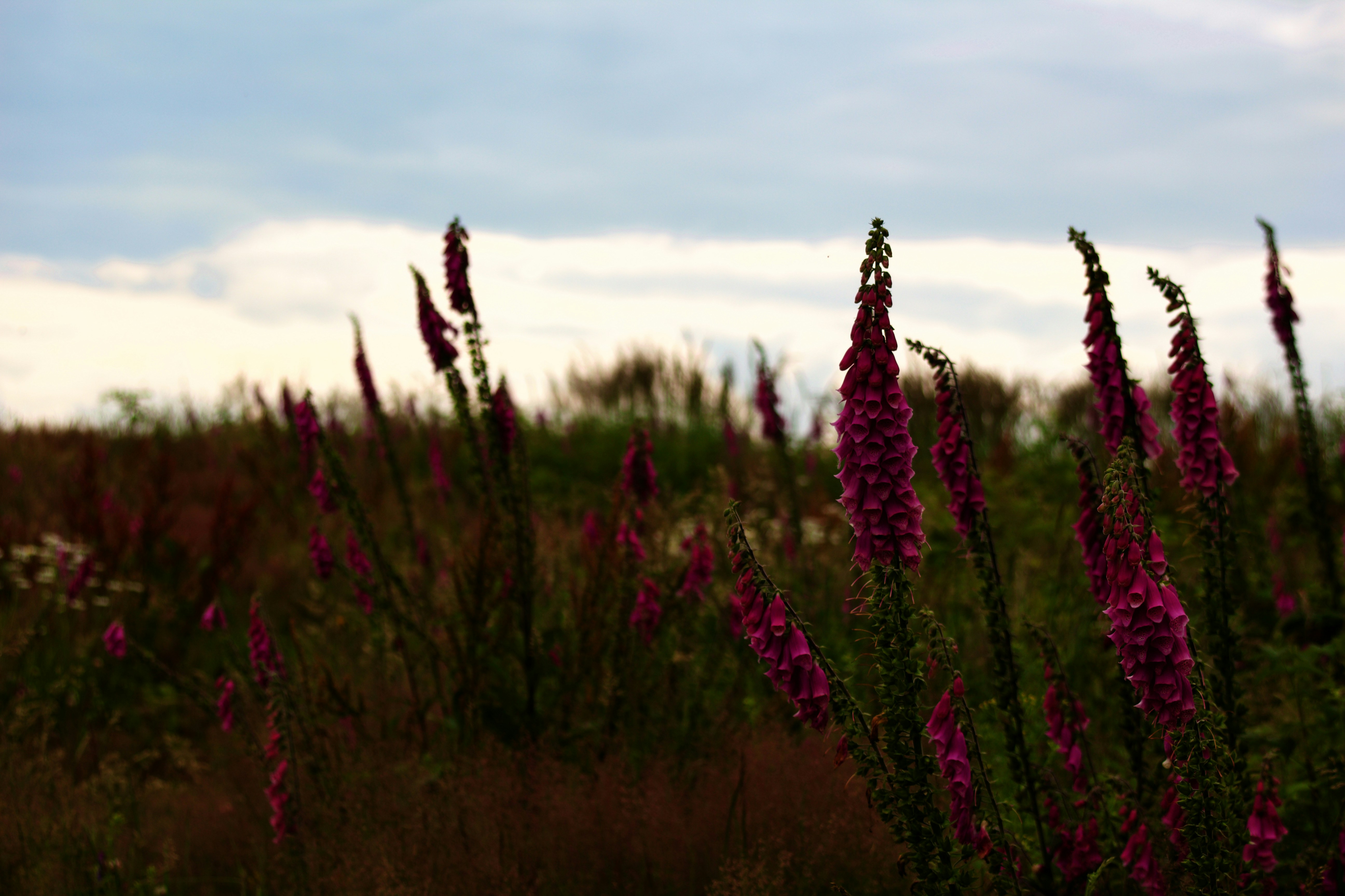 Photo by stockbirken