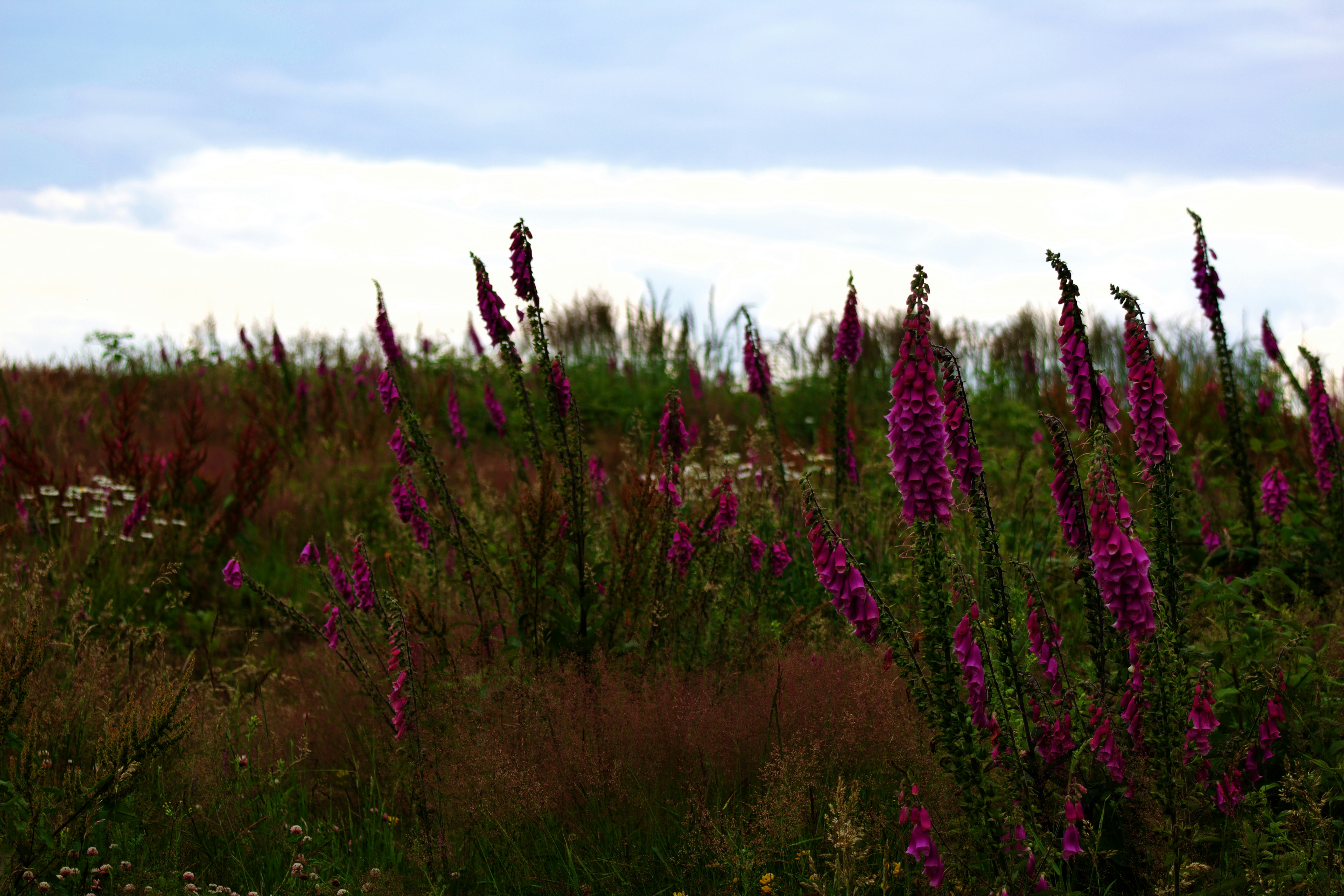 Photo by stockbirken