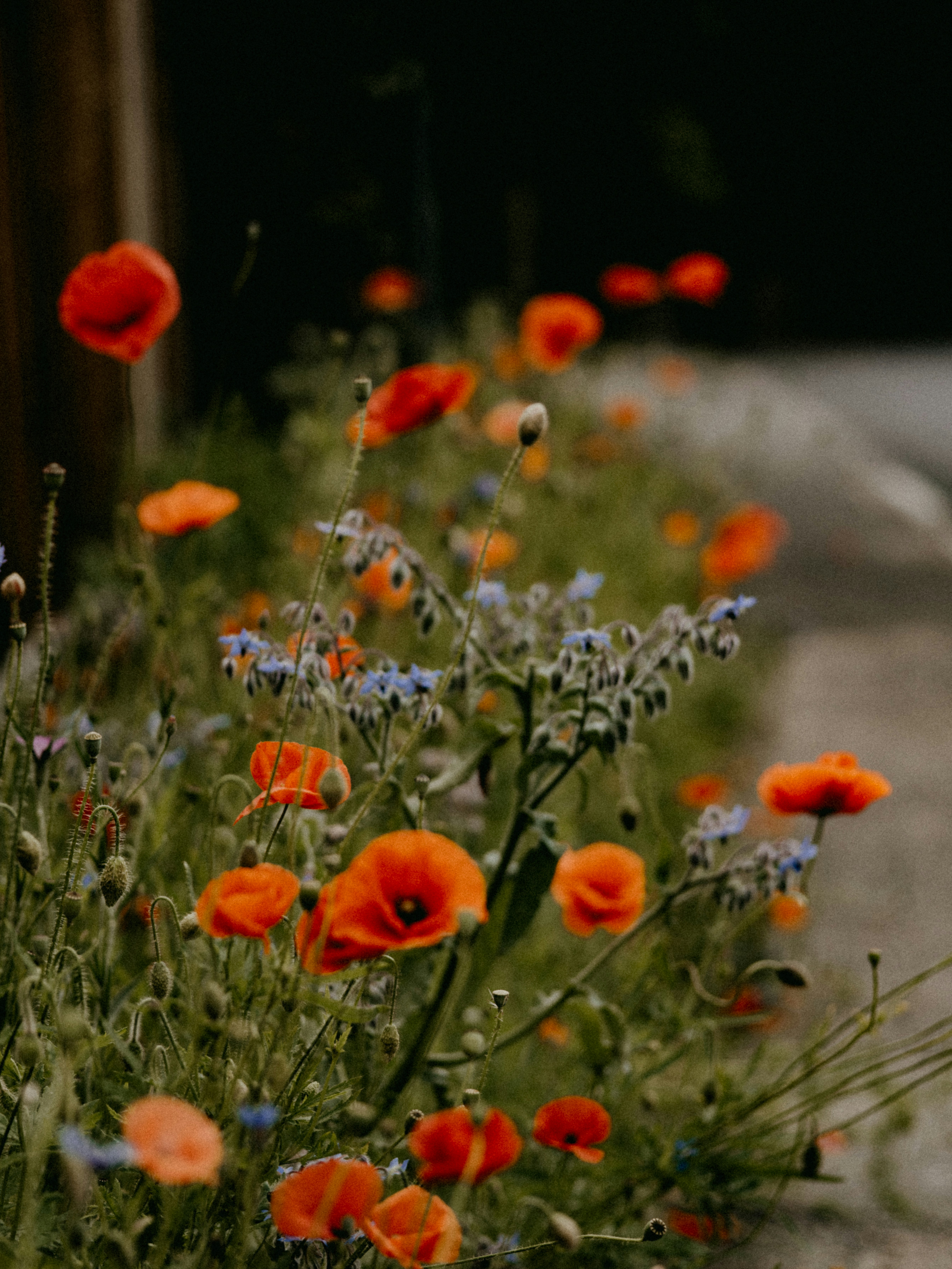 Photo by anniespratt