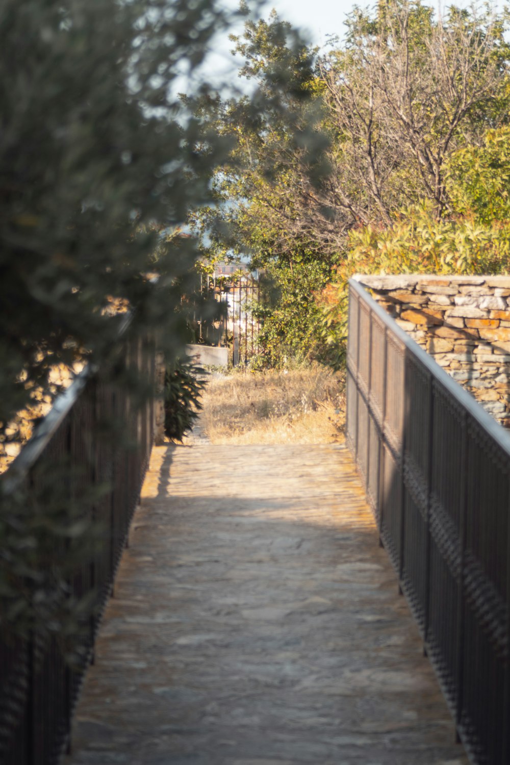 brown wooden bridge in between green trees during daytime