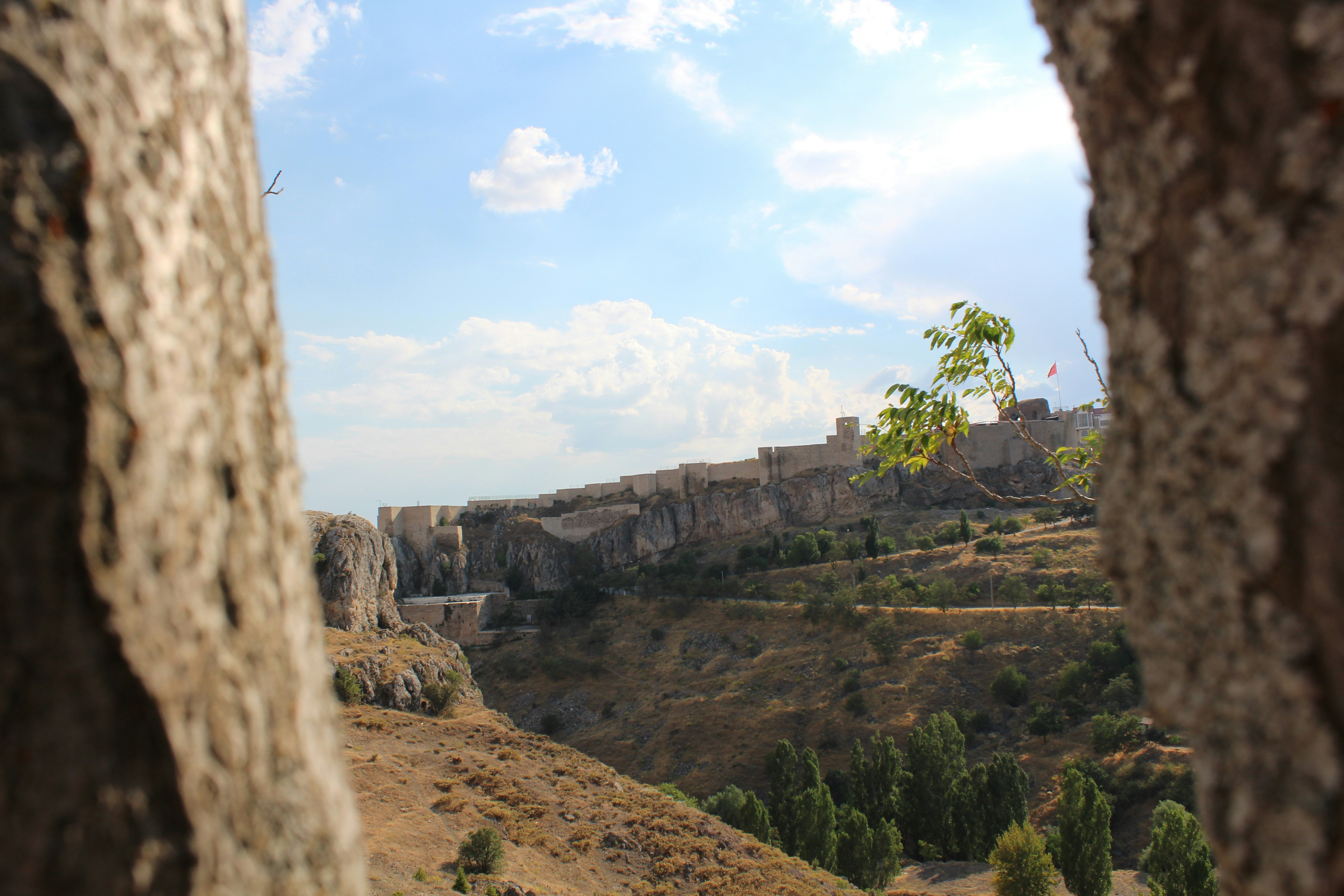 green trees on brown mountain under white clouds during daytime