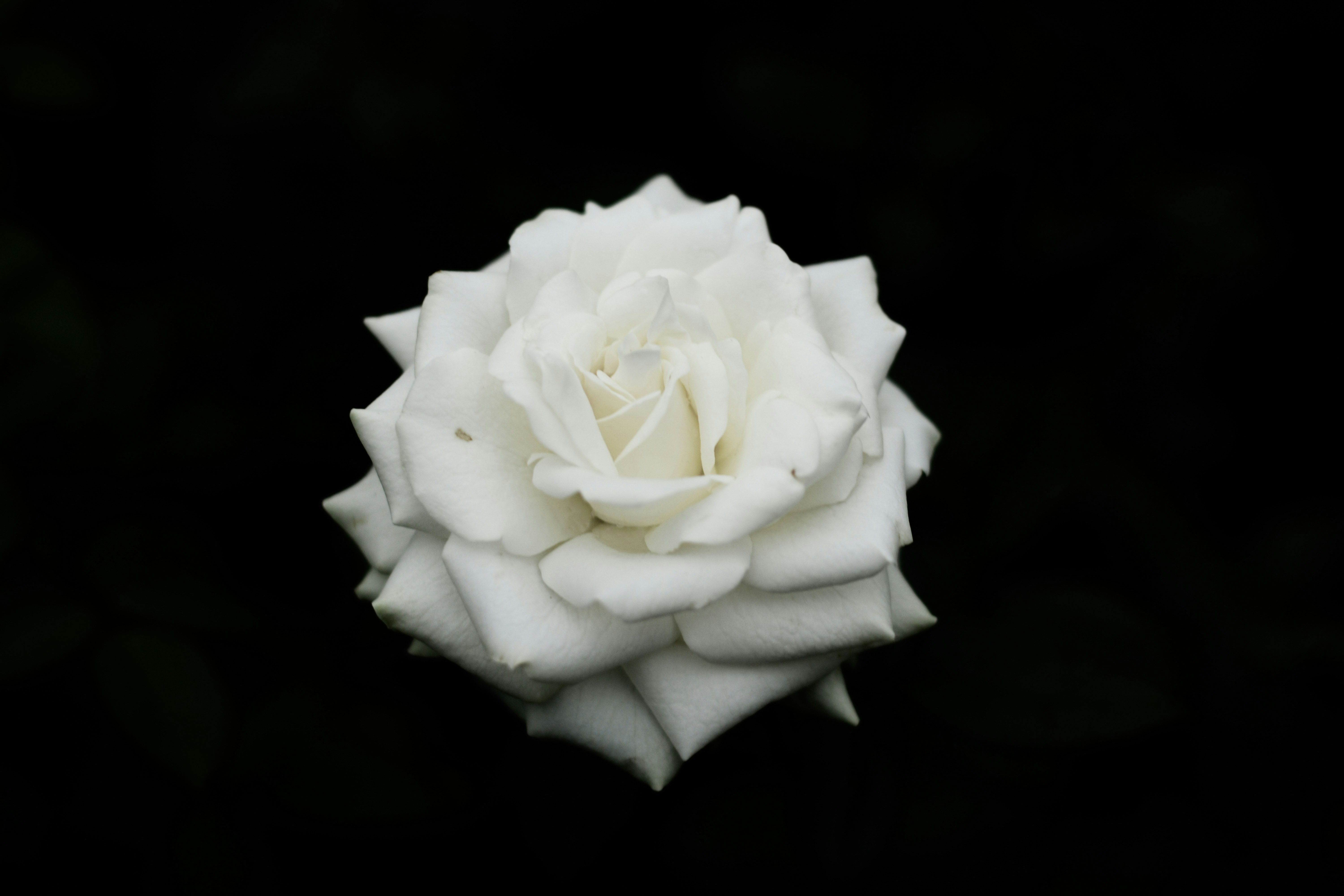 Photo by darshan_gavali