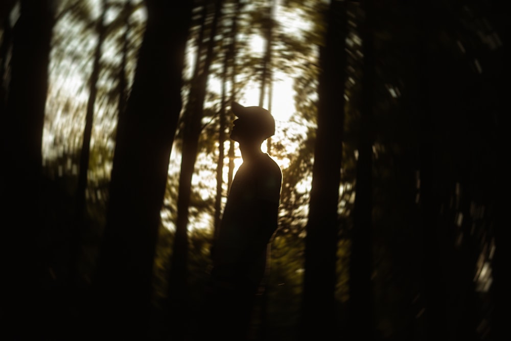 silhouette of person standing in forest during daytime