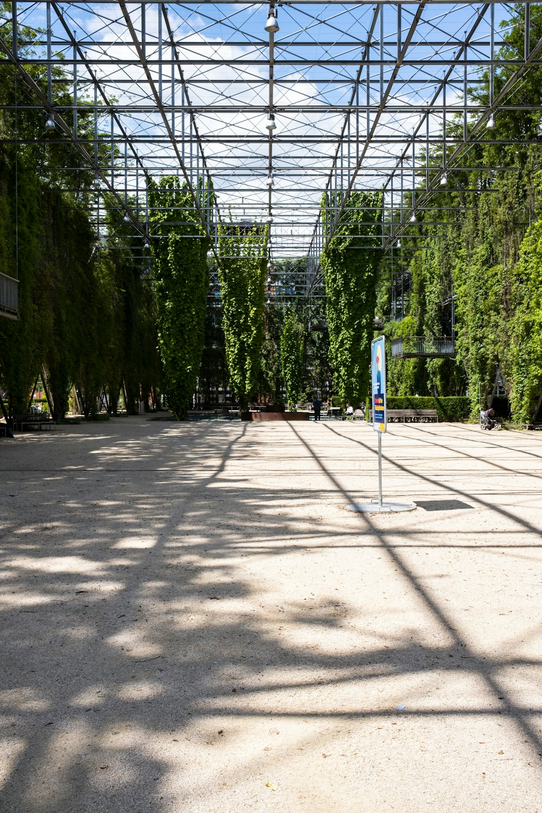 green trees on gray concrete floor