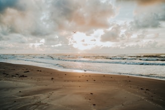 sea waves crashing on shore during daytime