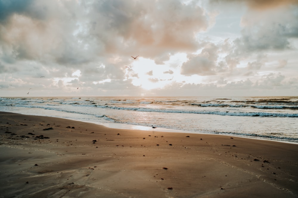 sea waves crashing on shore during daytime