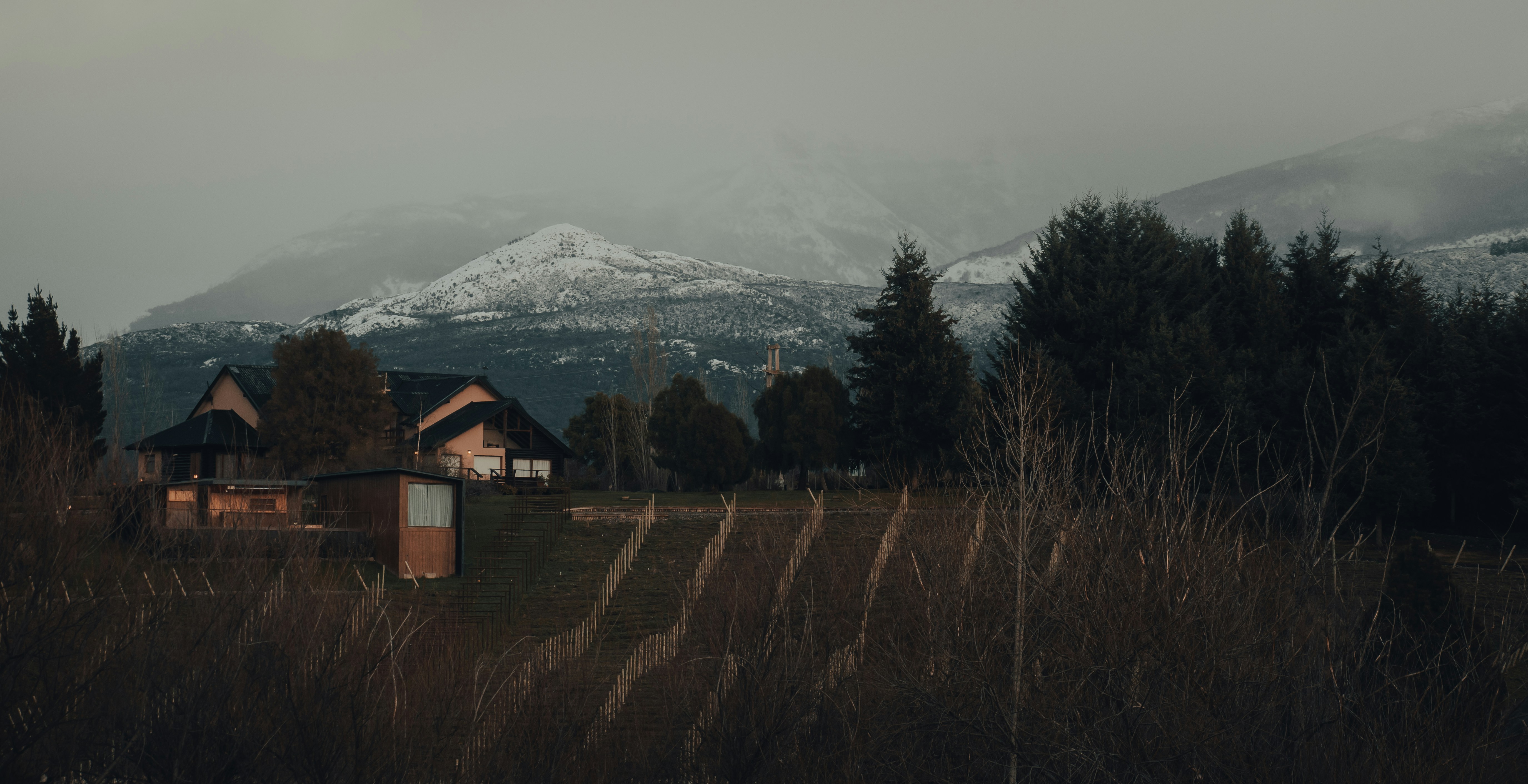 Photo by gasparzaldo