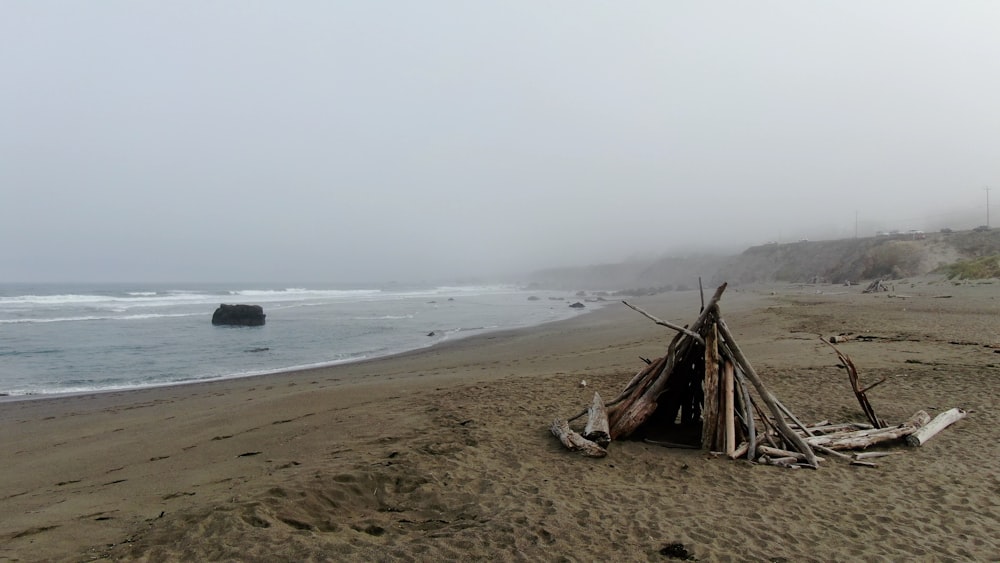 bastone di legno marrone sulla riva della spiaggia durante il giorno