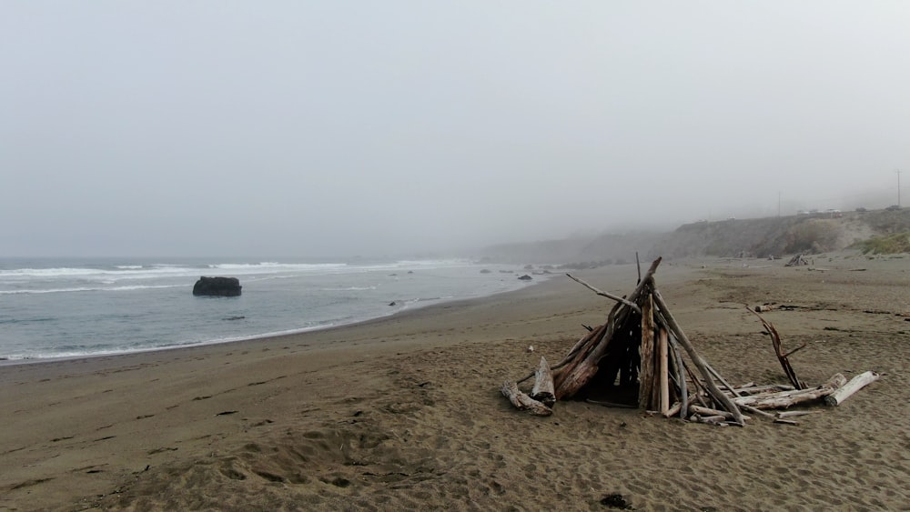 brown wooden stick on beach shore during daytime