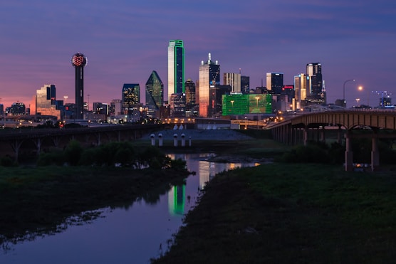 city skyline during night time