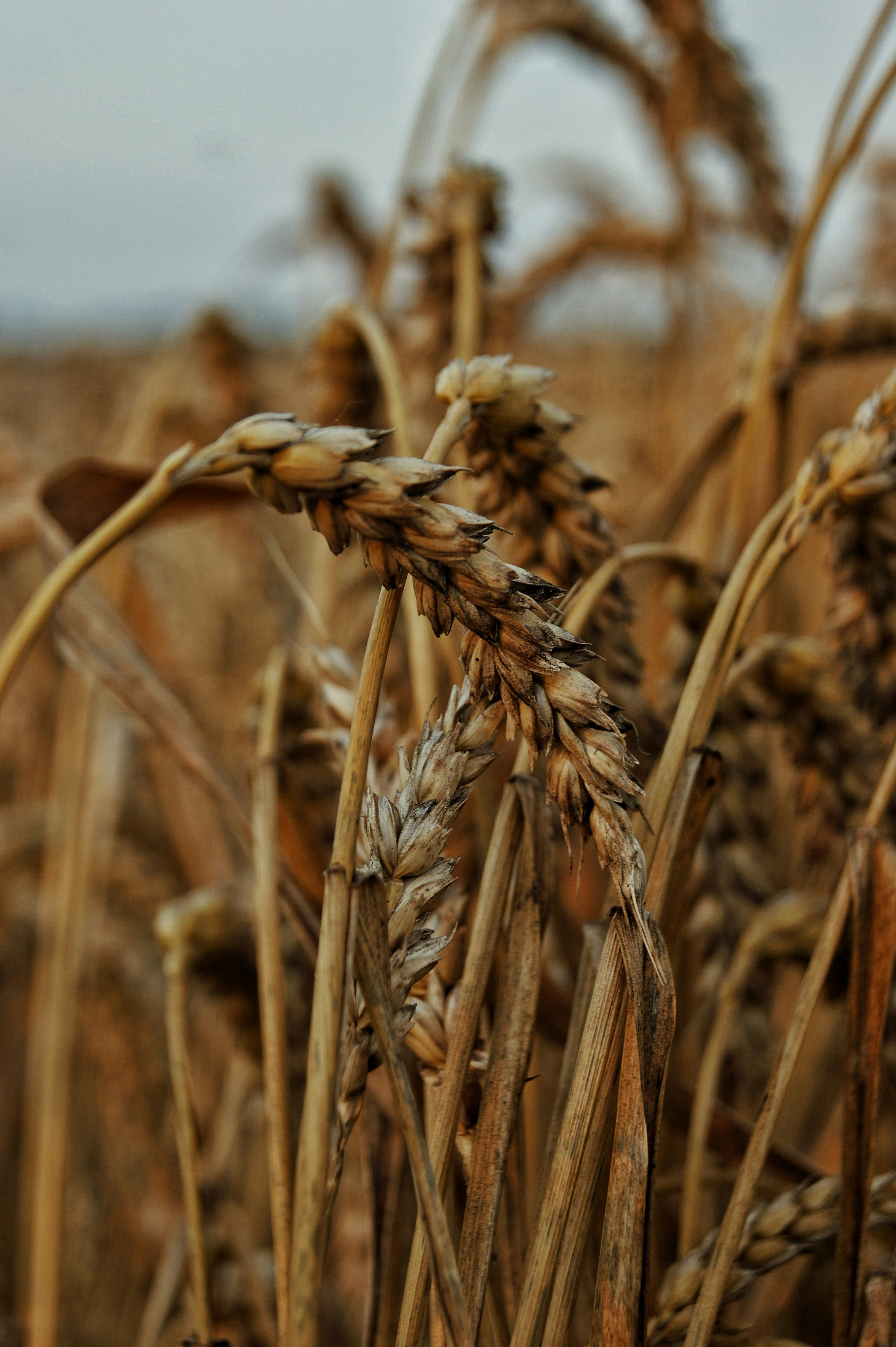 Photo by yaroslavvv21