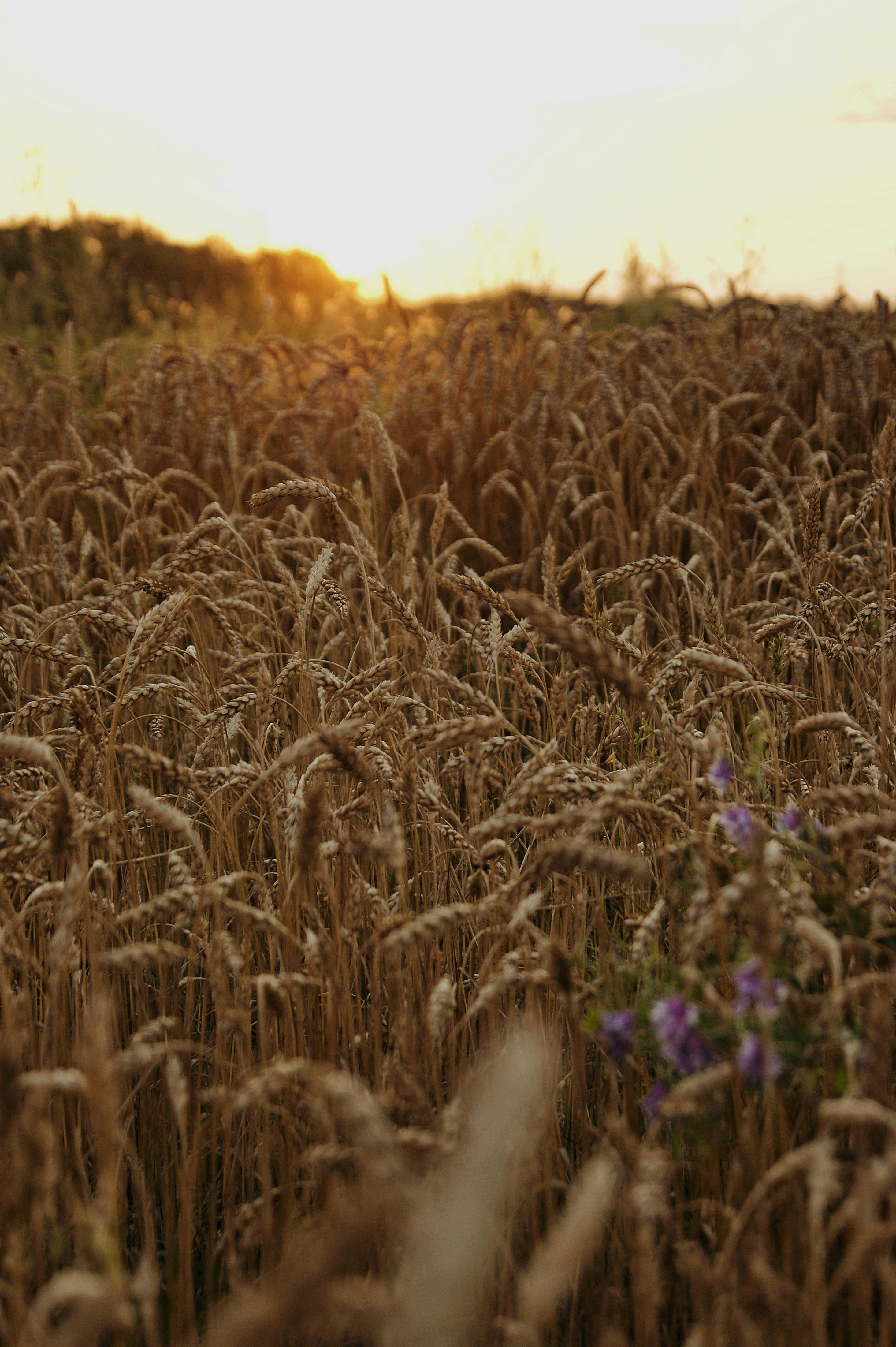 Photo by yaroslavvv21