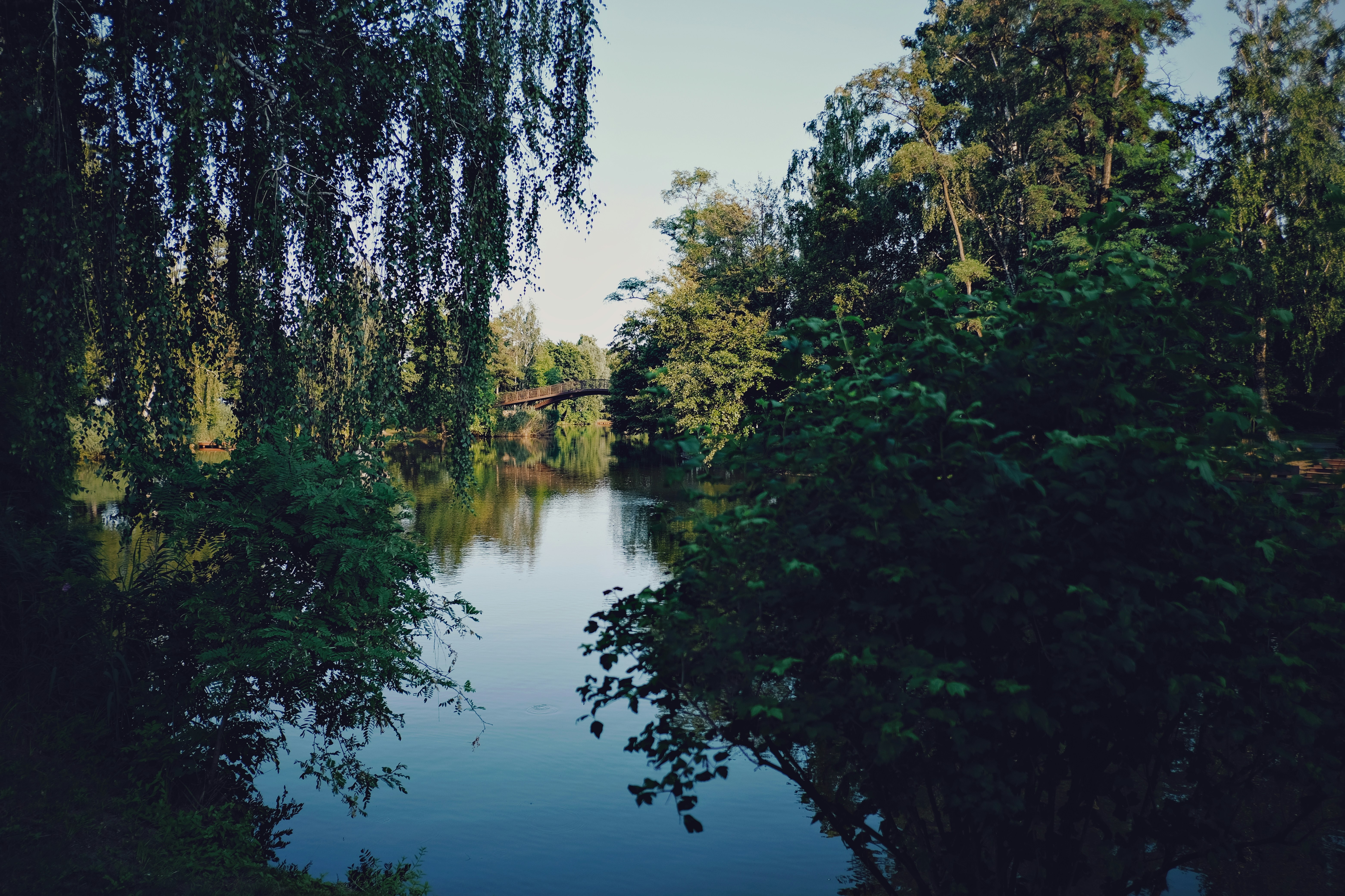 Photo by egorkomarov